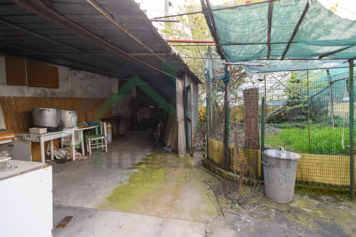Foto annuncio 6