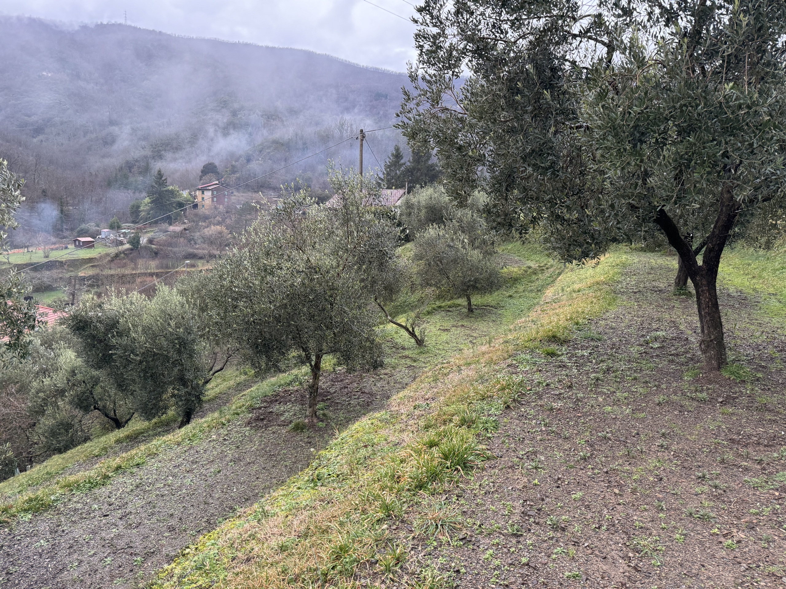 Foto annuncio 6