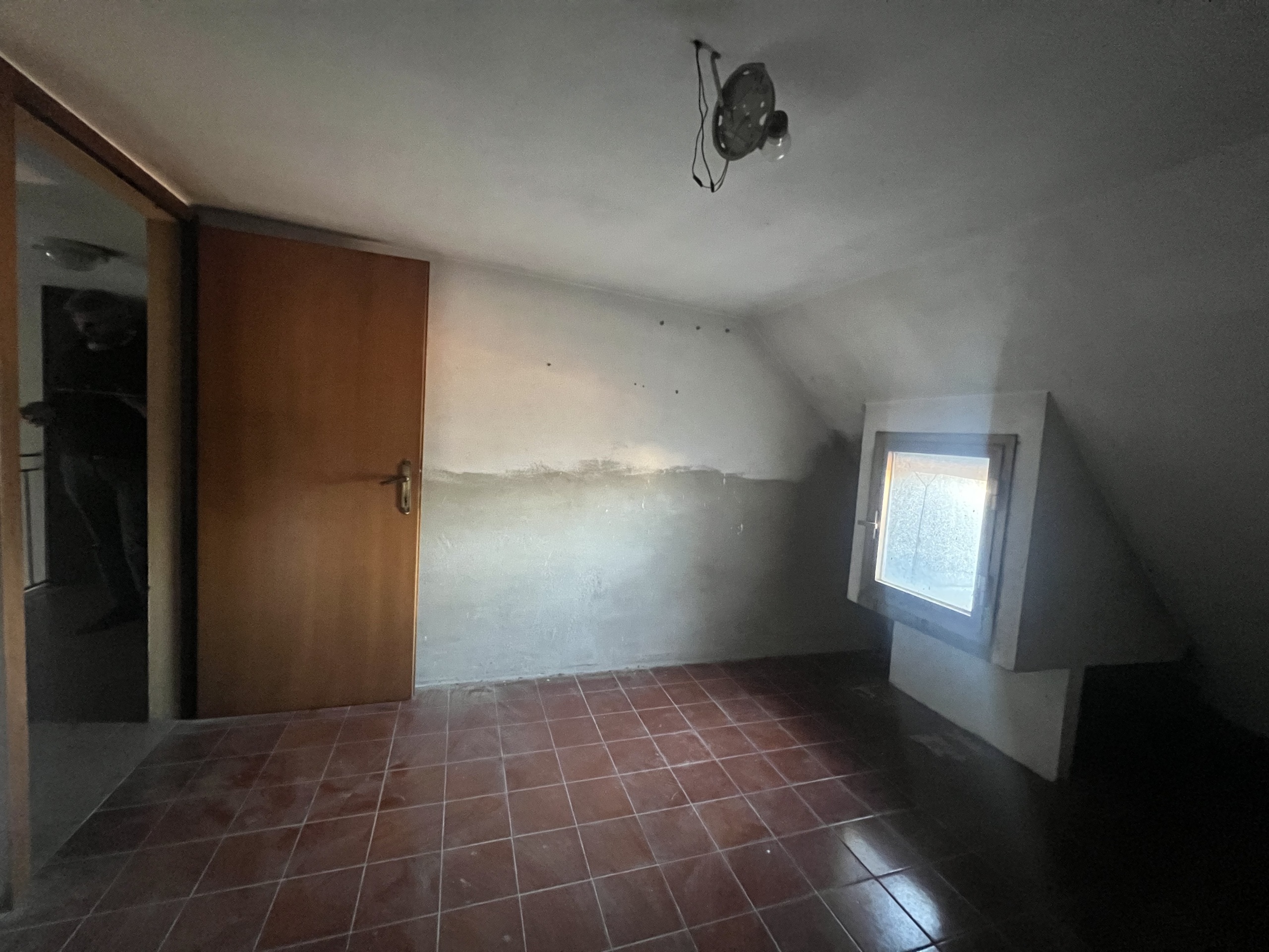Foto annuncio 37