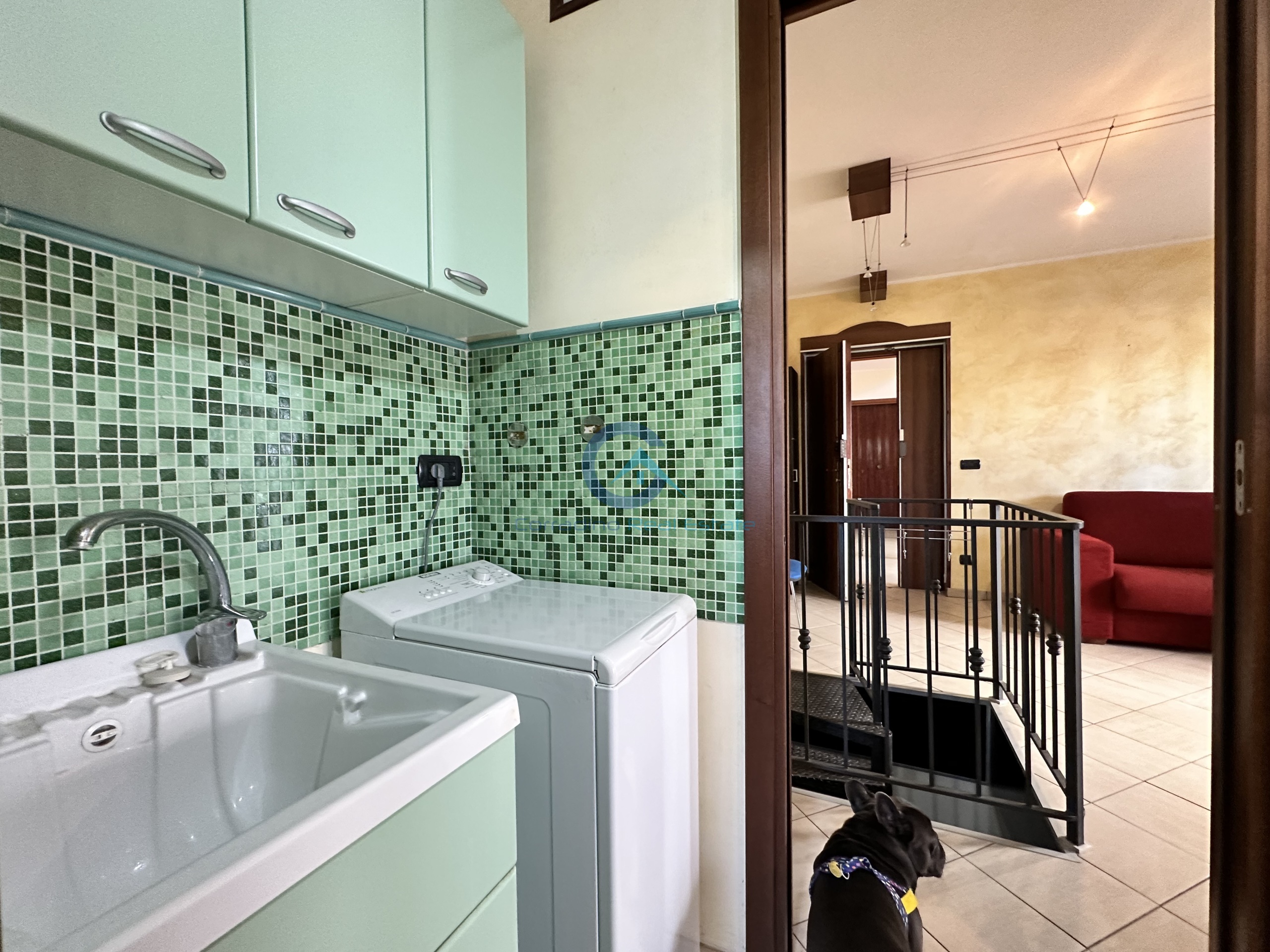 Immagine 7 di Trilocale in affitto  a Catanzaro