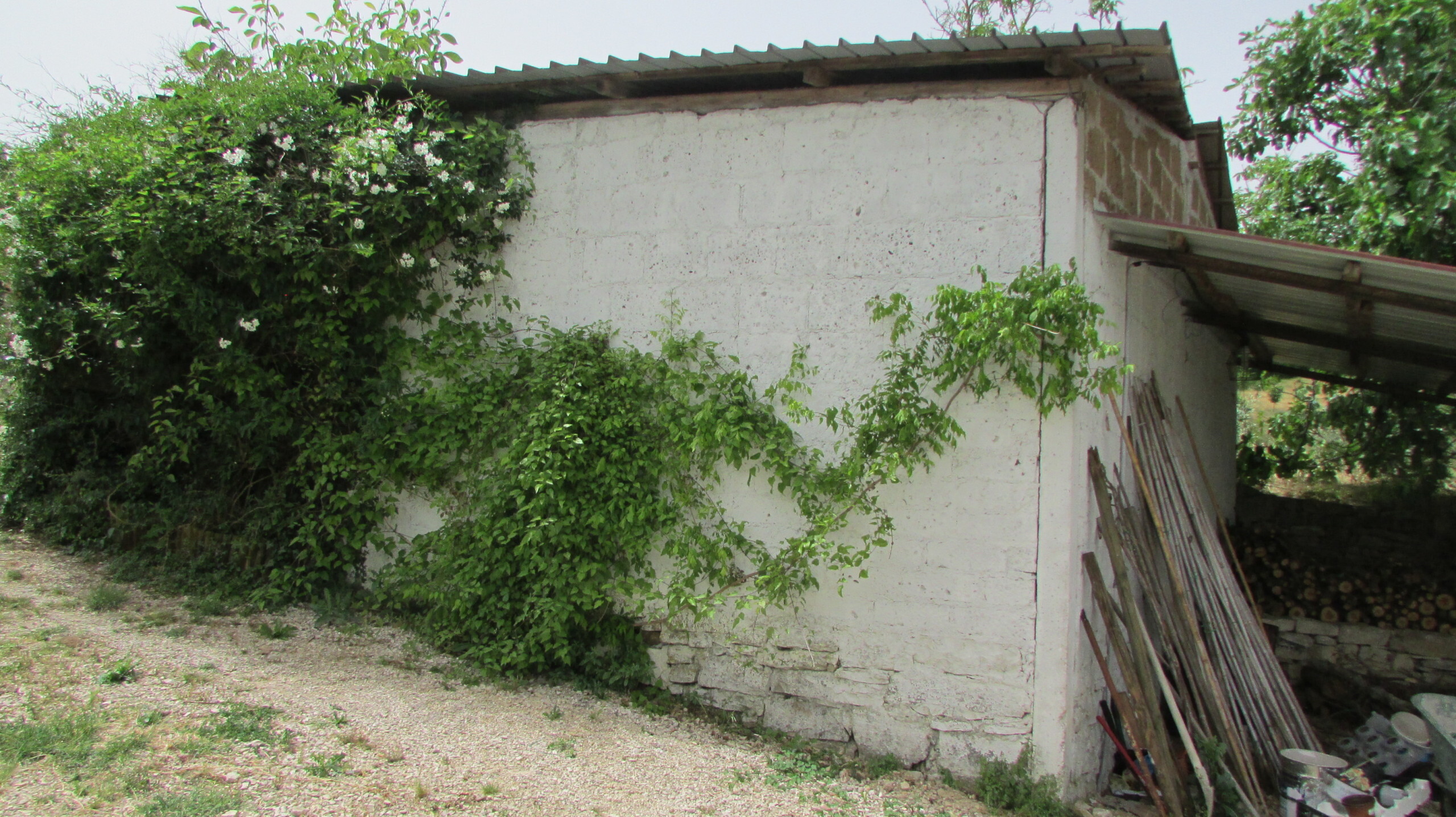 Immagine 5 di Casa indipendente in vendita  a Todi