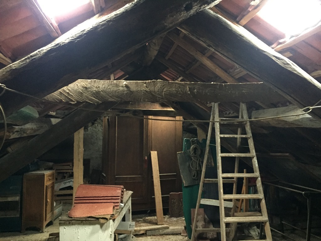Foto annuncio 27