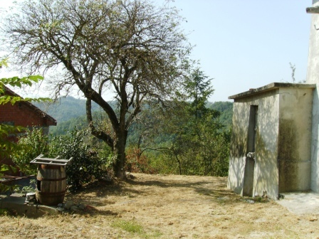 Foto annuncio 3