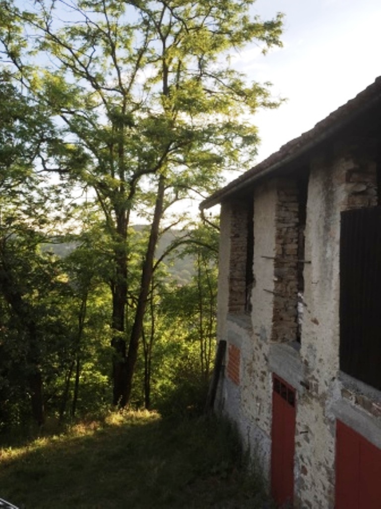 Foto annuncio 3