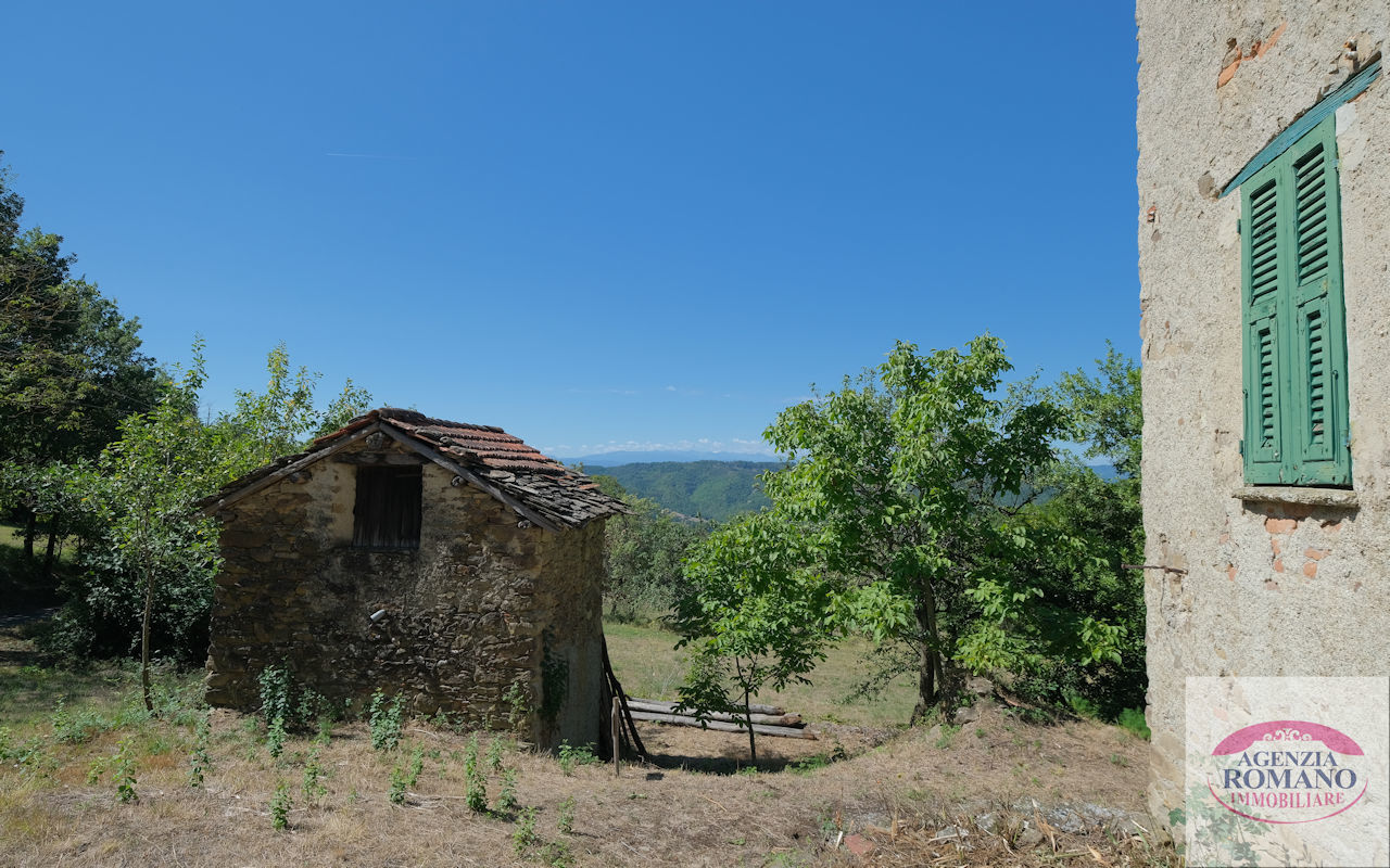 Foto annuncio 10