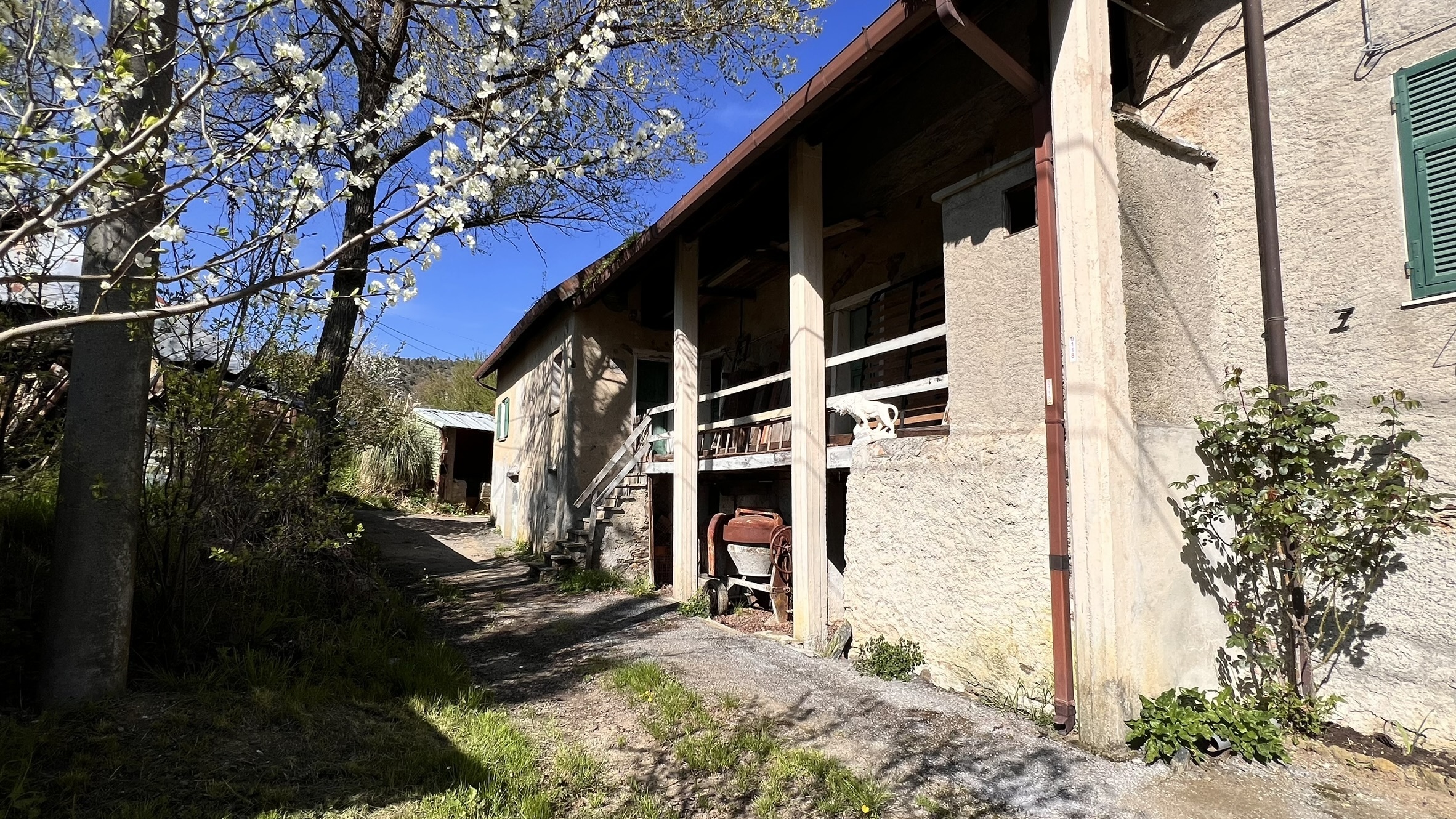 Foto annuncio 3