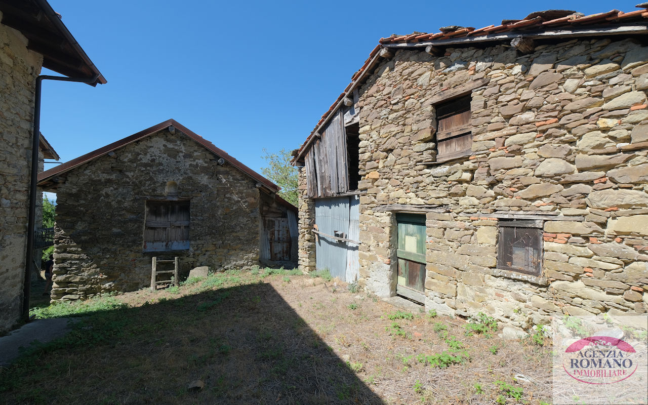 Foto annuncio 5