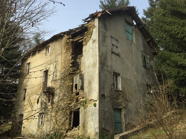 Foto annuncio 3