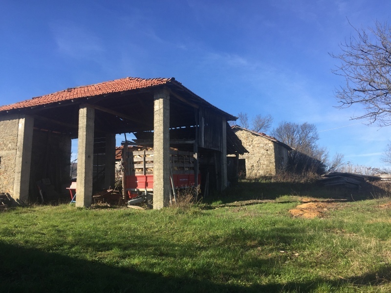 Foto annuncio 5