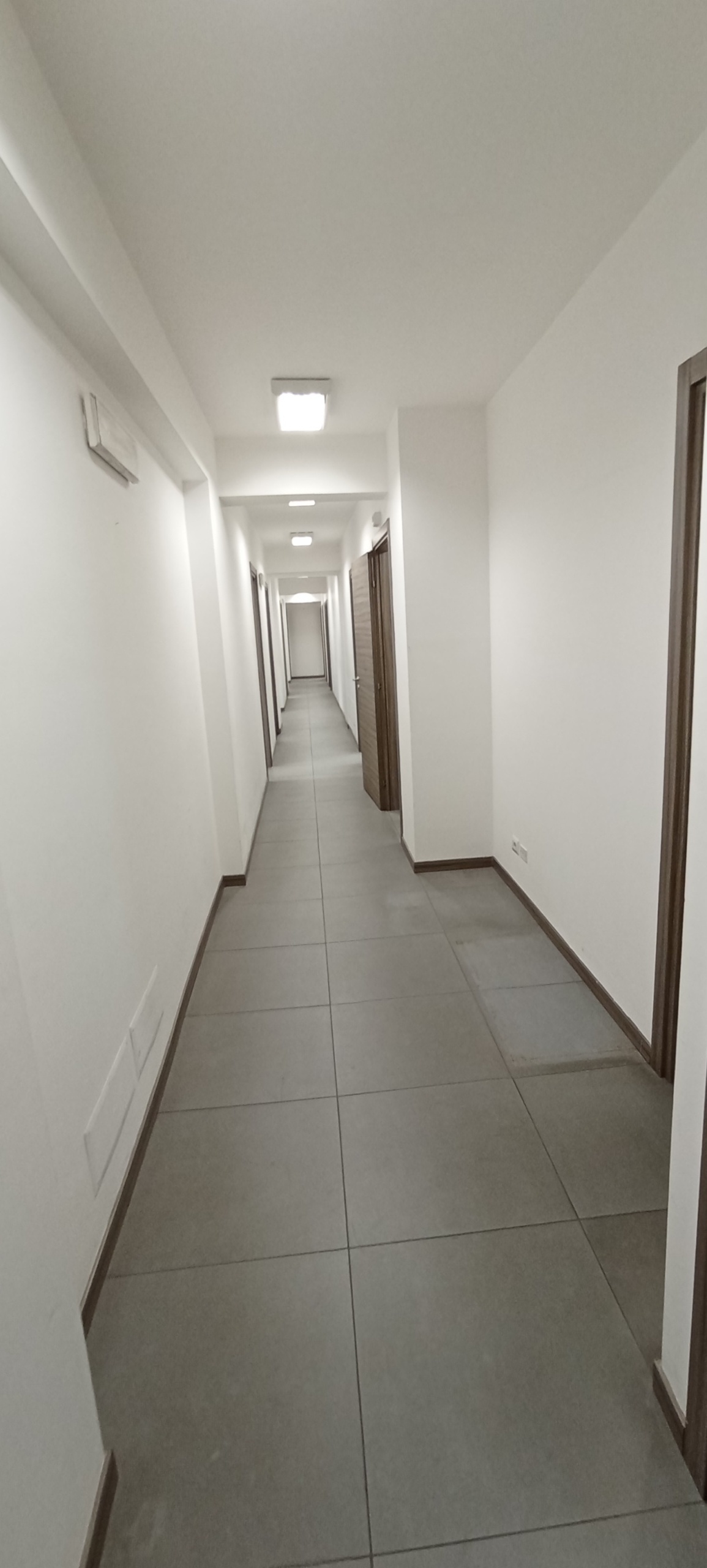 Immagine 18 di Ufficio in affitto  a Ragusa