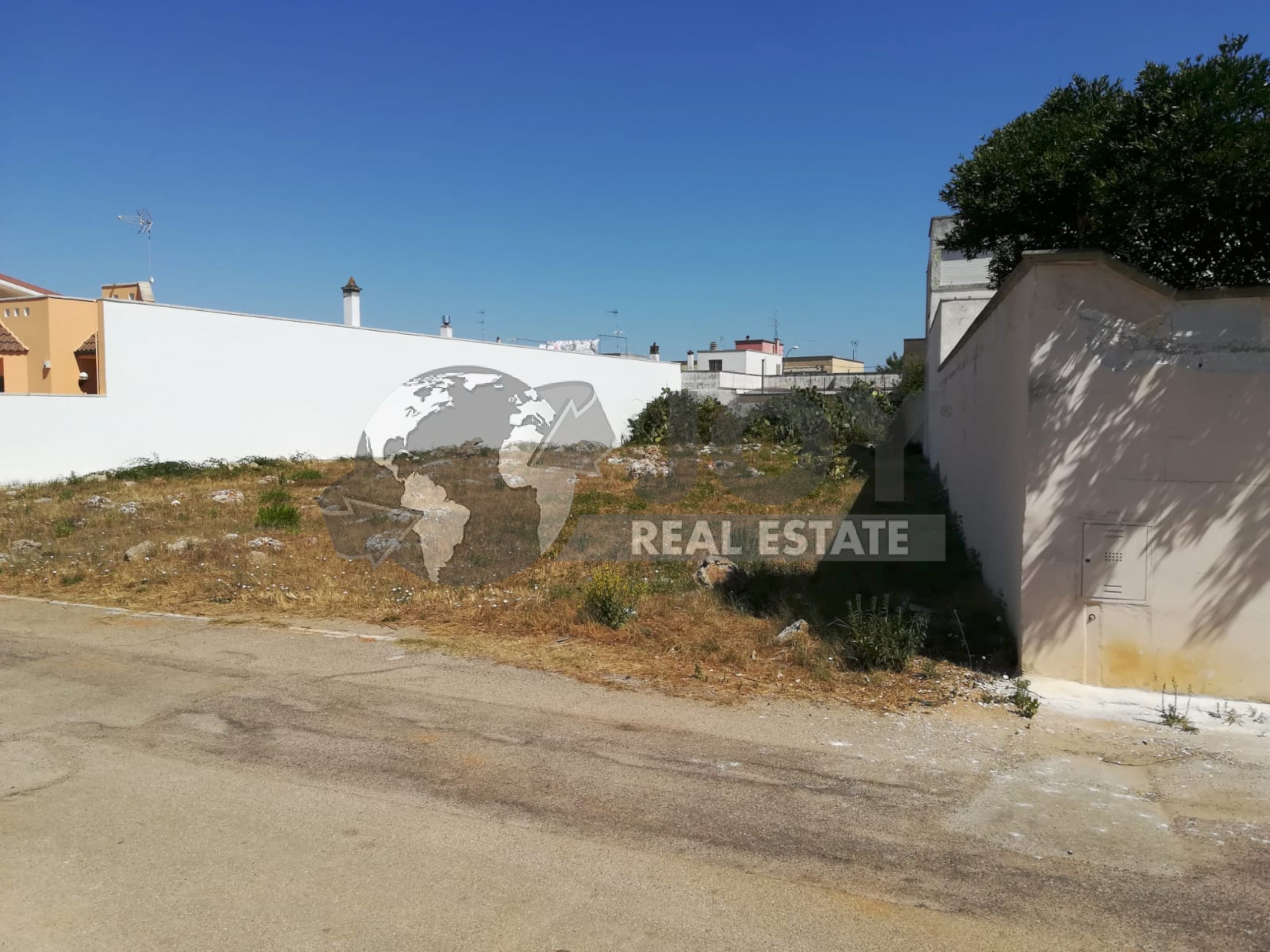Immagine 14 di Terreno agricolo in vendita  in via morandi a San Donato Di Lecce