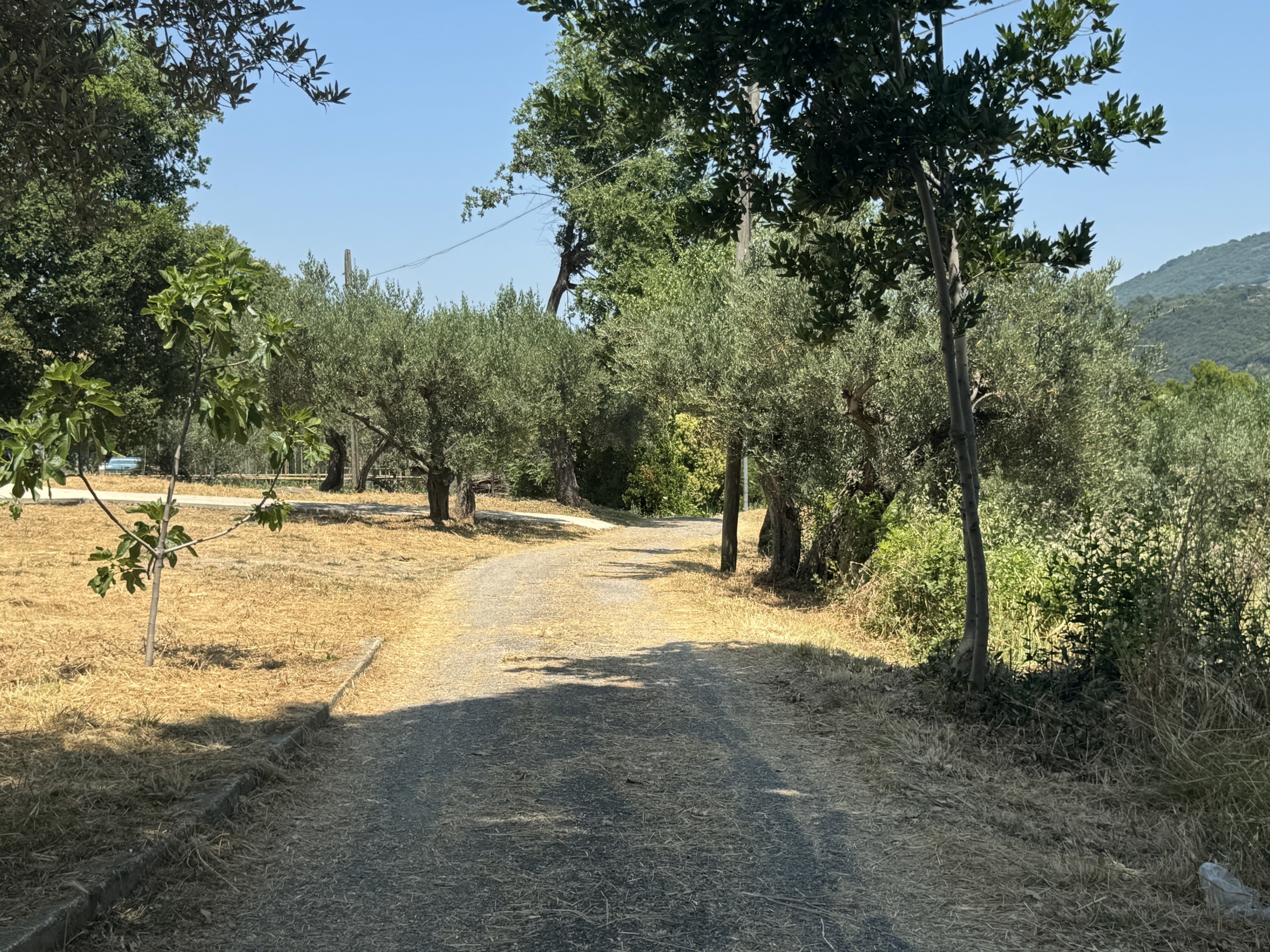Immagine 56 di Casa semindipendente in vendita  in Roccascalegna a Roccascalegna