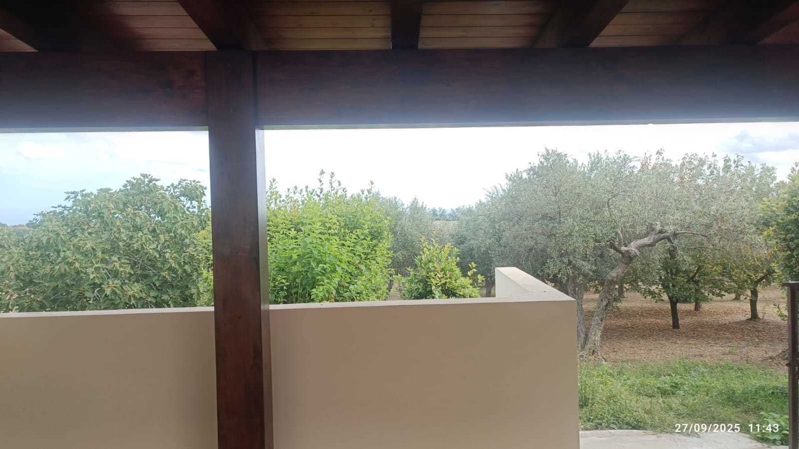 Foto annuncio 40