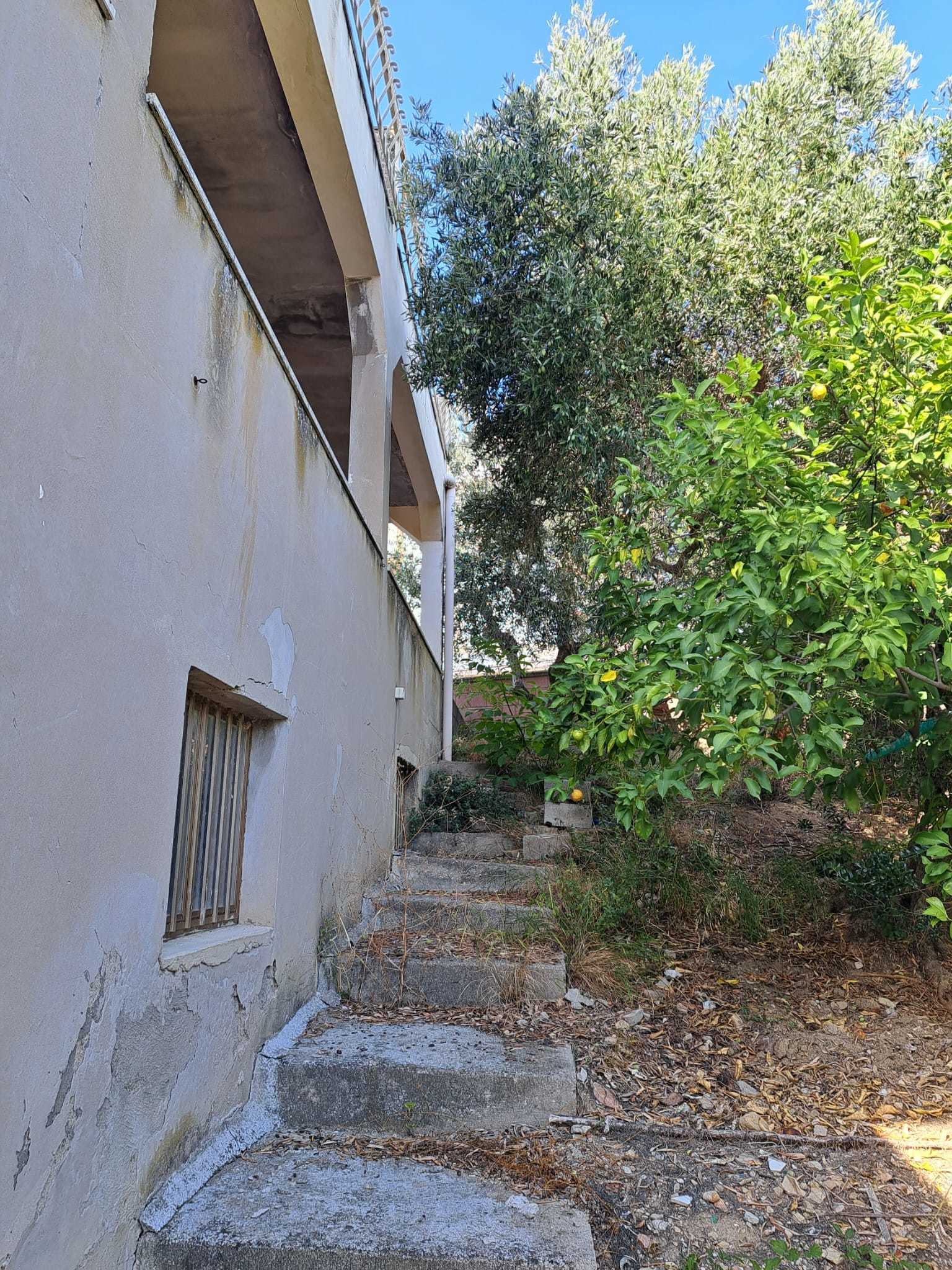 Foto annuncio 51