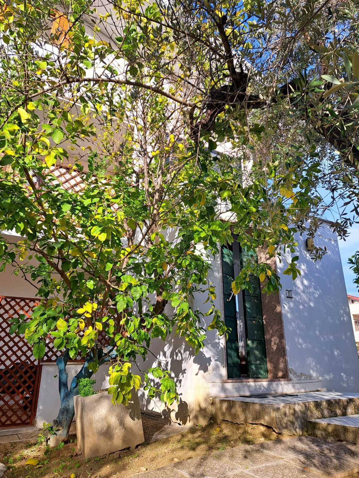 Foto annuncio 39
