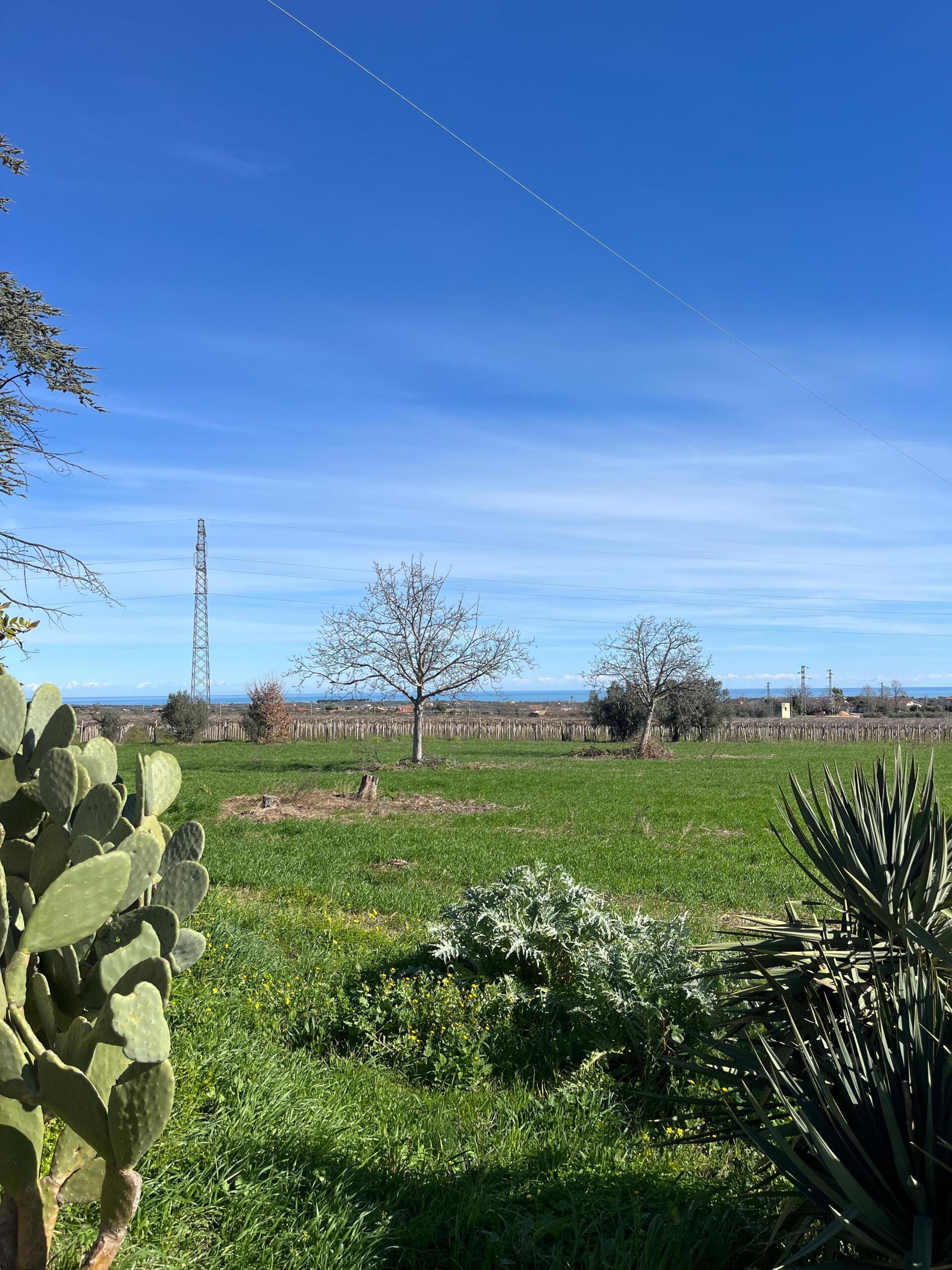 Foto annuncio 61