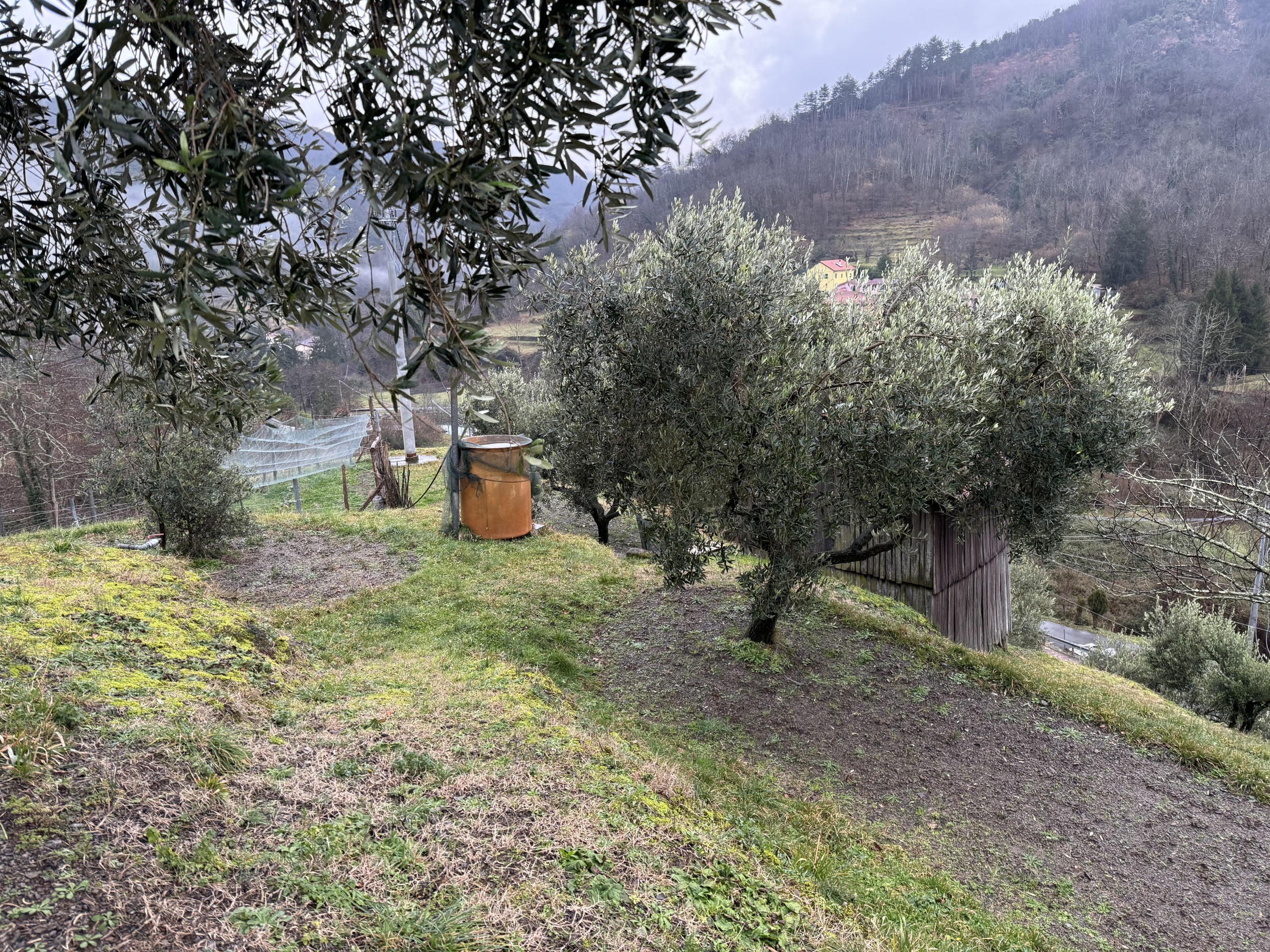 Foto annuncio 8