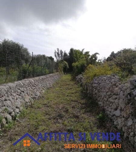 Immagine 9 di Rustico / casale in vendita  in isola a Siracusa