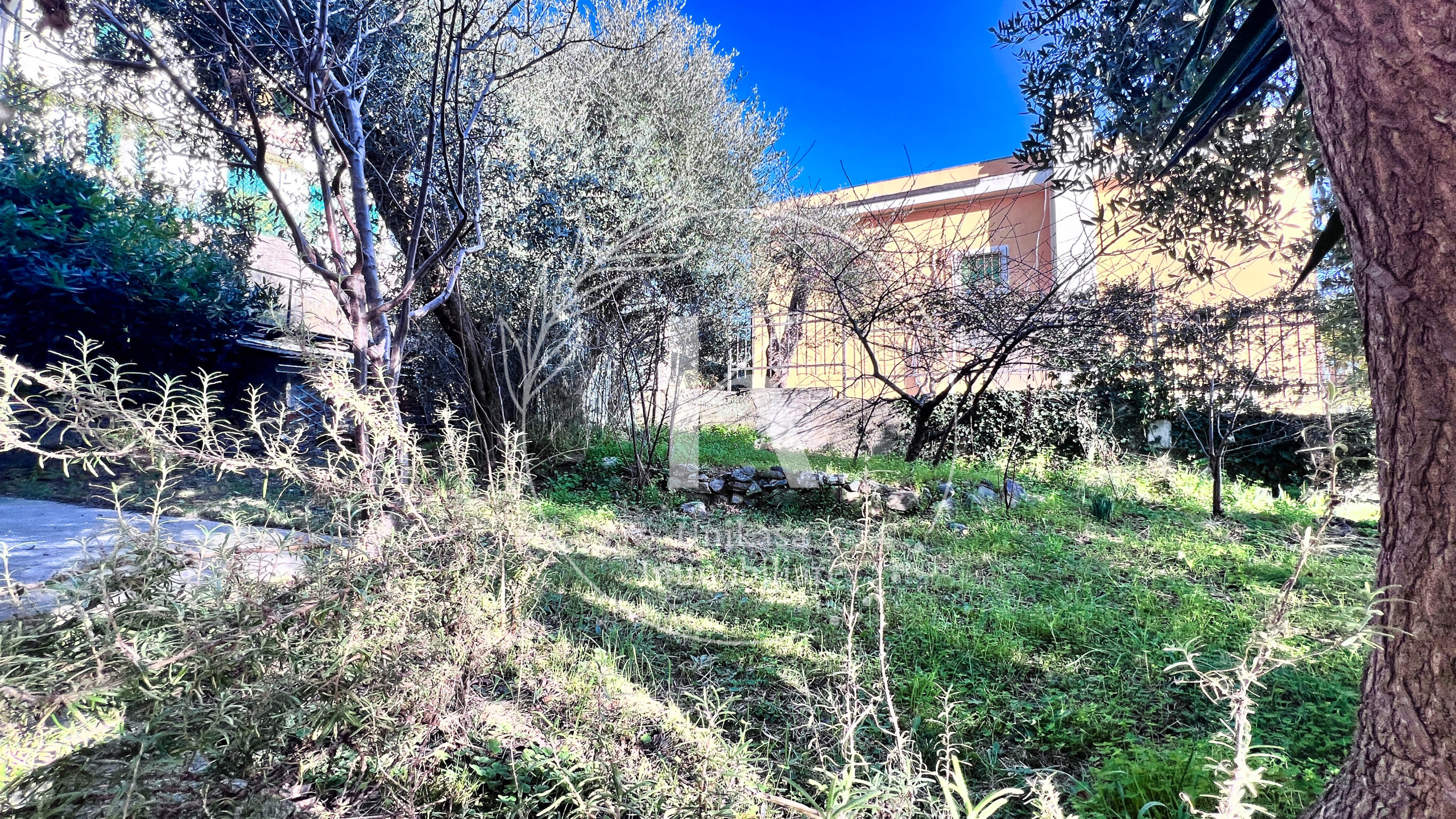 Foto annuncio 16