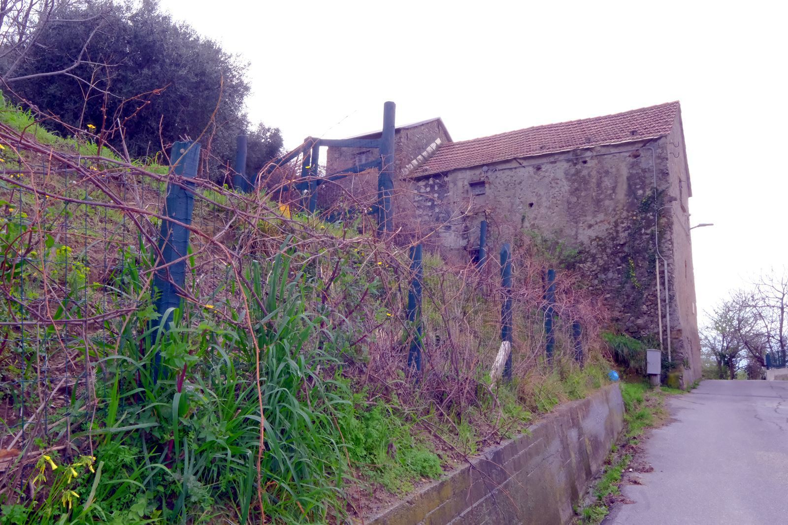 Foto annuncio 13