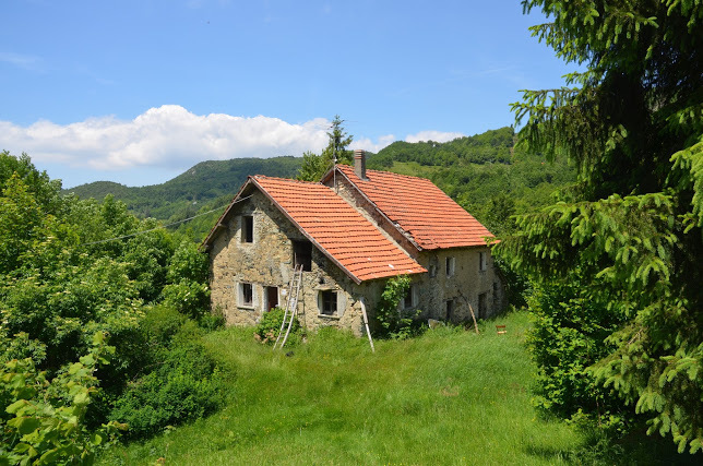 Foto annuncio 1