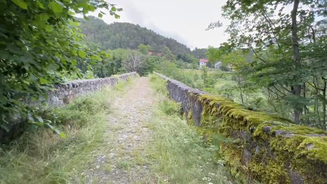 Foto annuncio 46