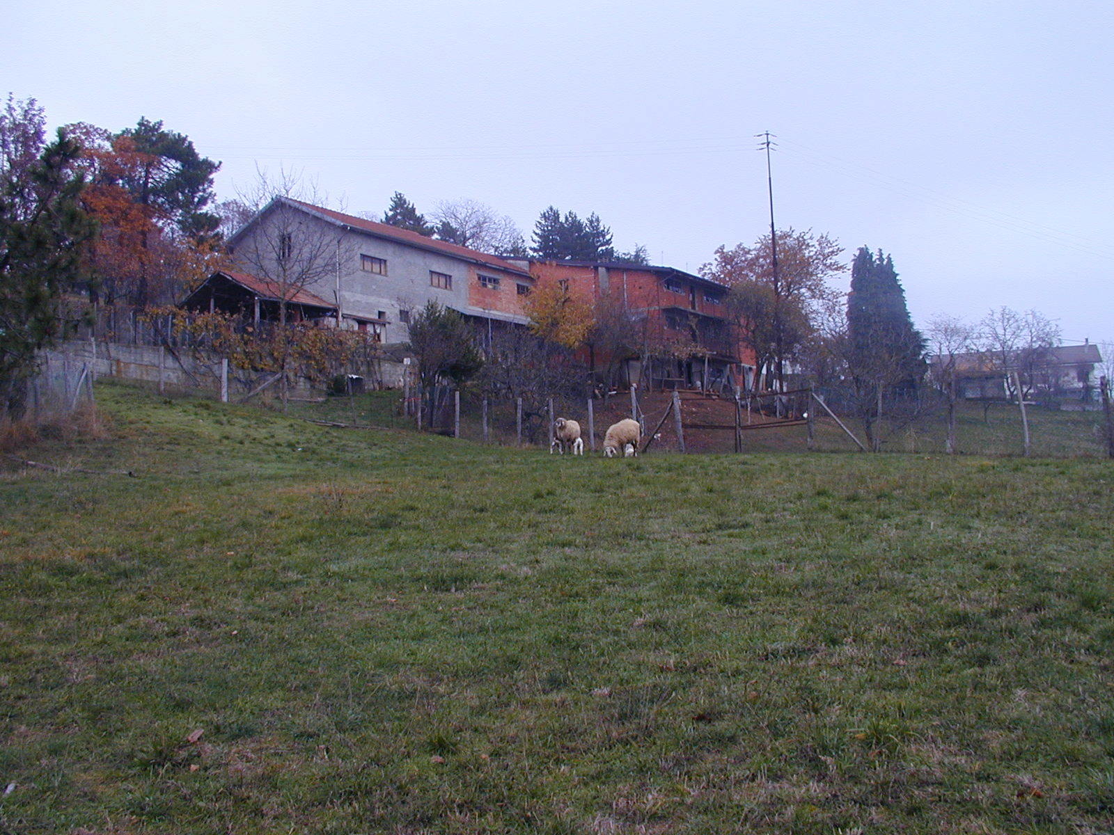 Foto annuncio 10