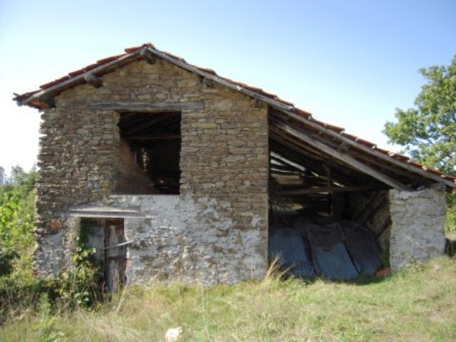 Foto annuncio 13