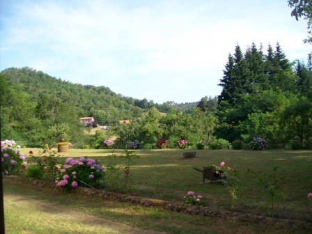 Foto annuncio 23