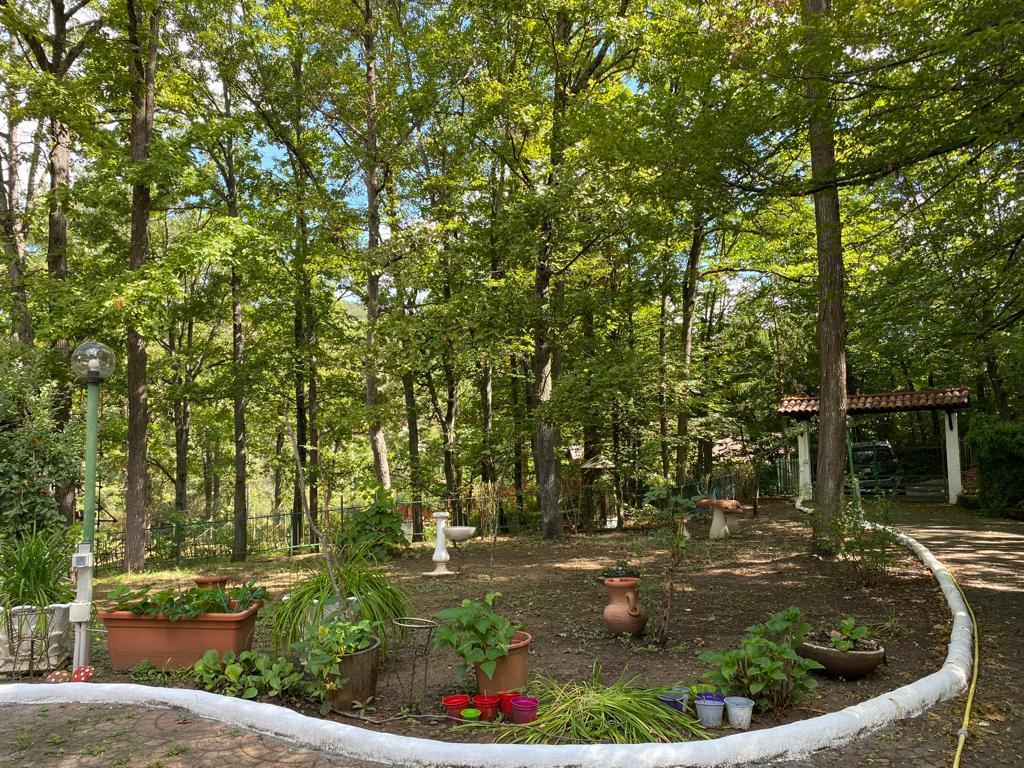 Immagine 12 di Villa in vendita  in località Vallacia 12 a Pareto