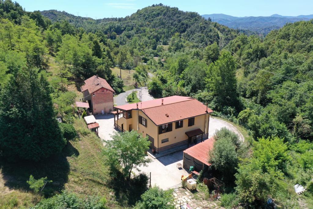 Foto annuncio 5