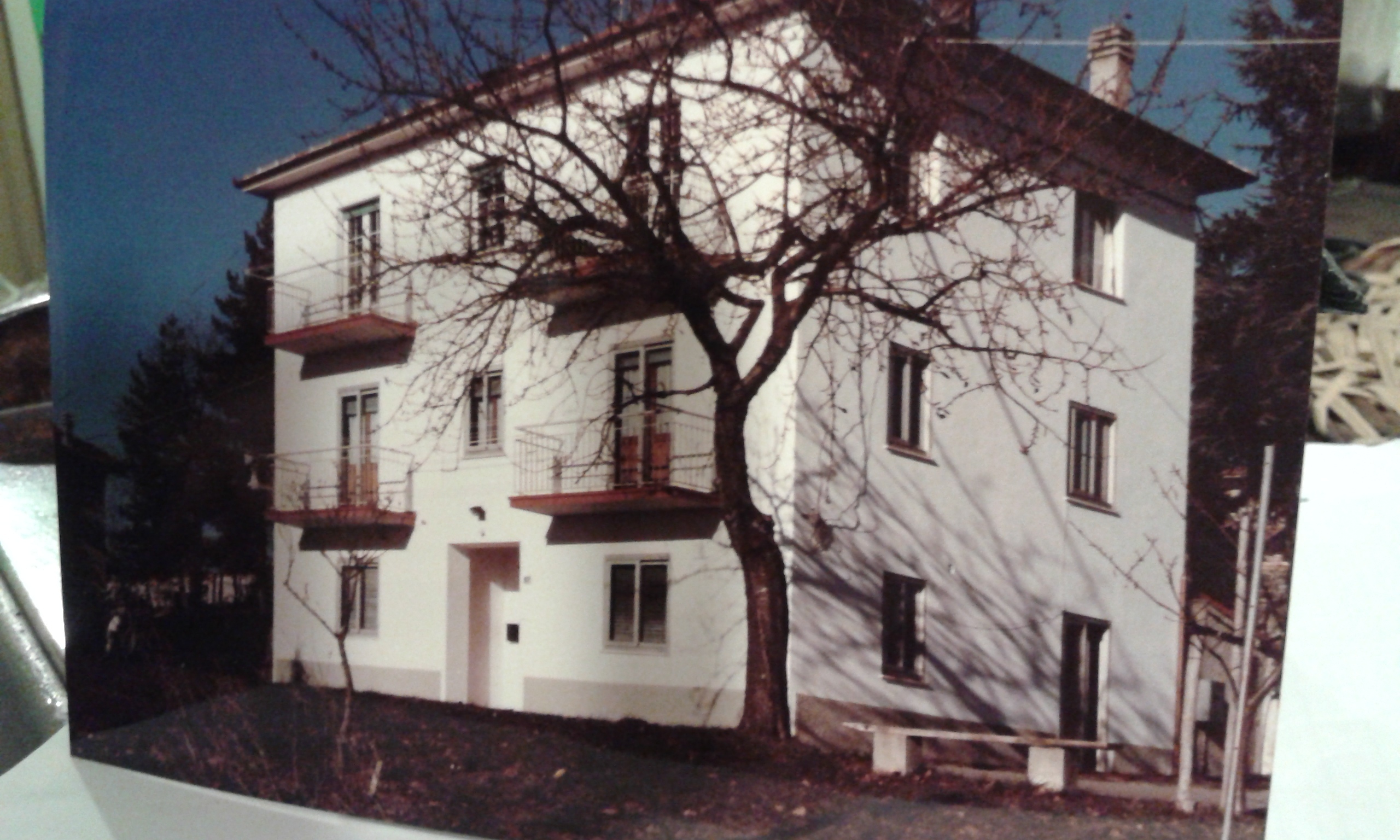 Foto annuncio 4