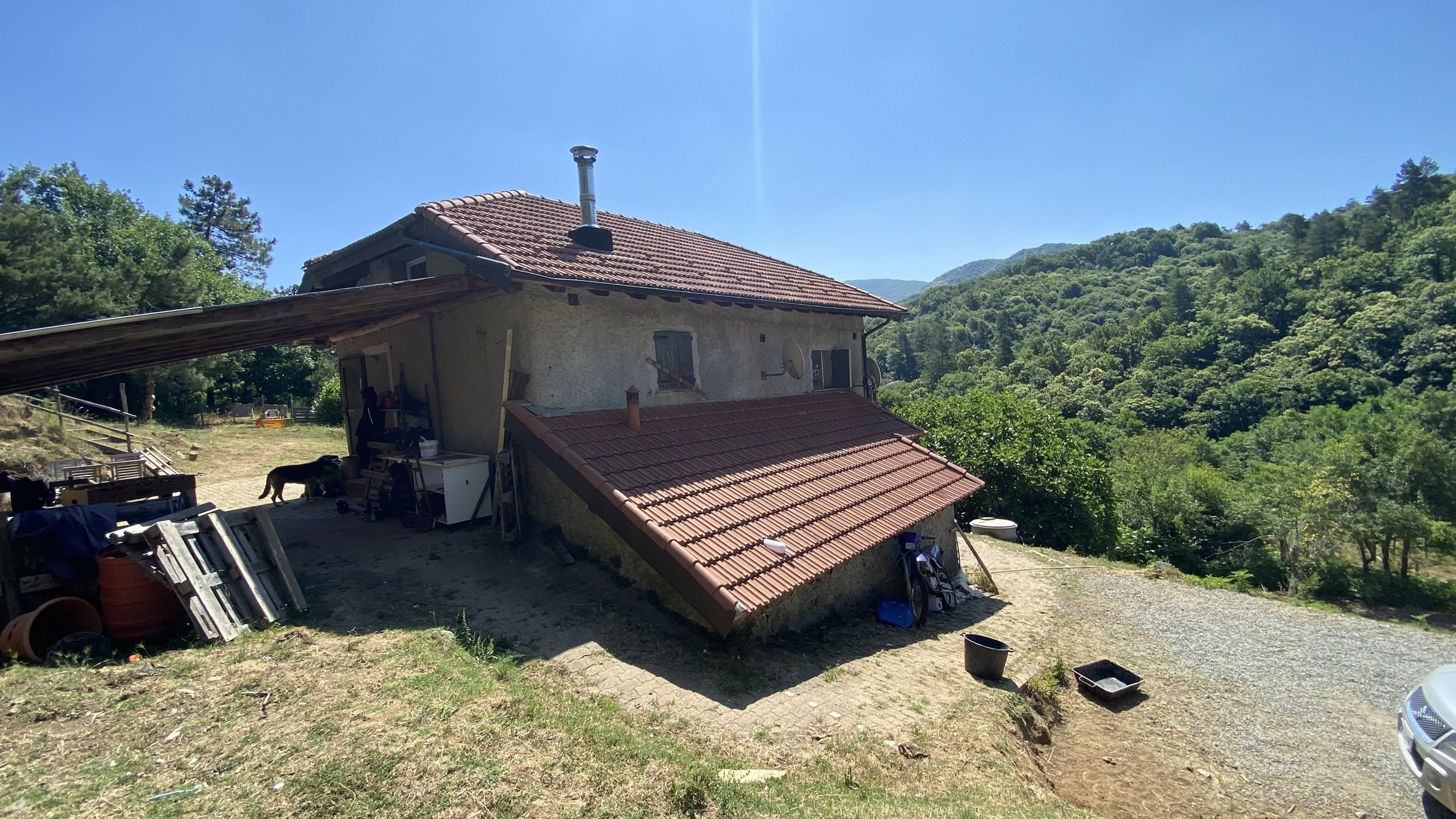 Foto annuncio 7