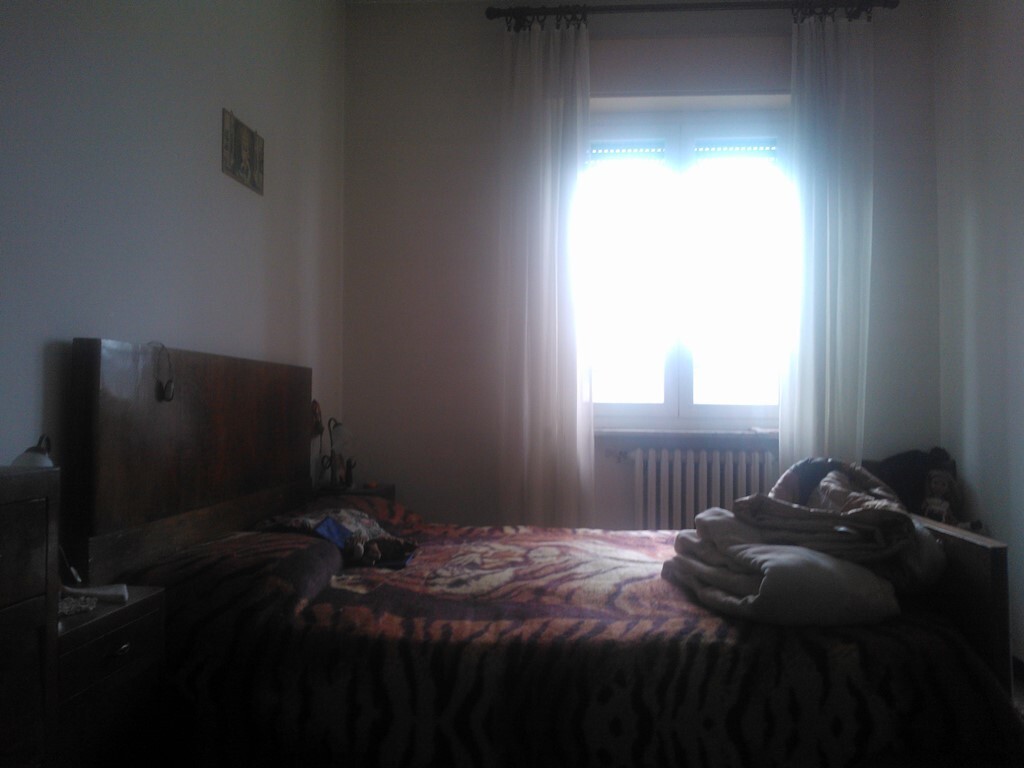 Foto annuncio 7