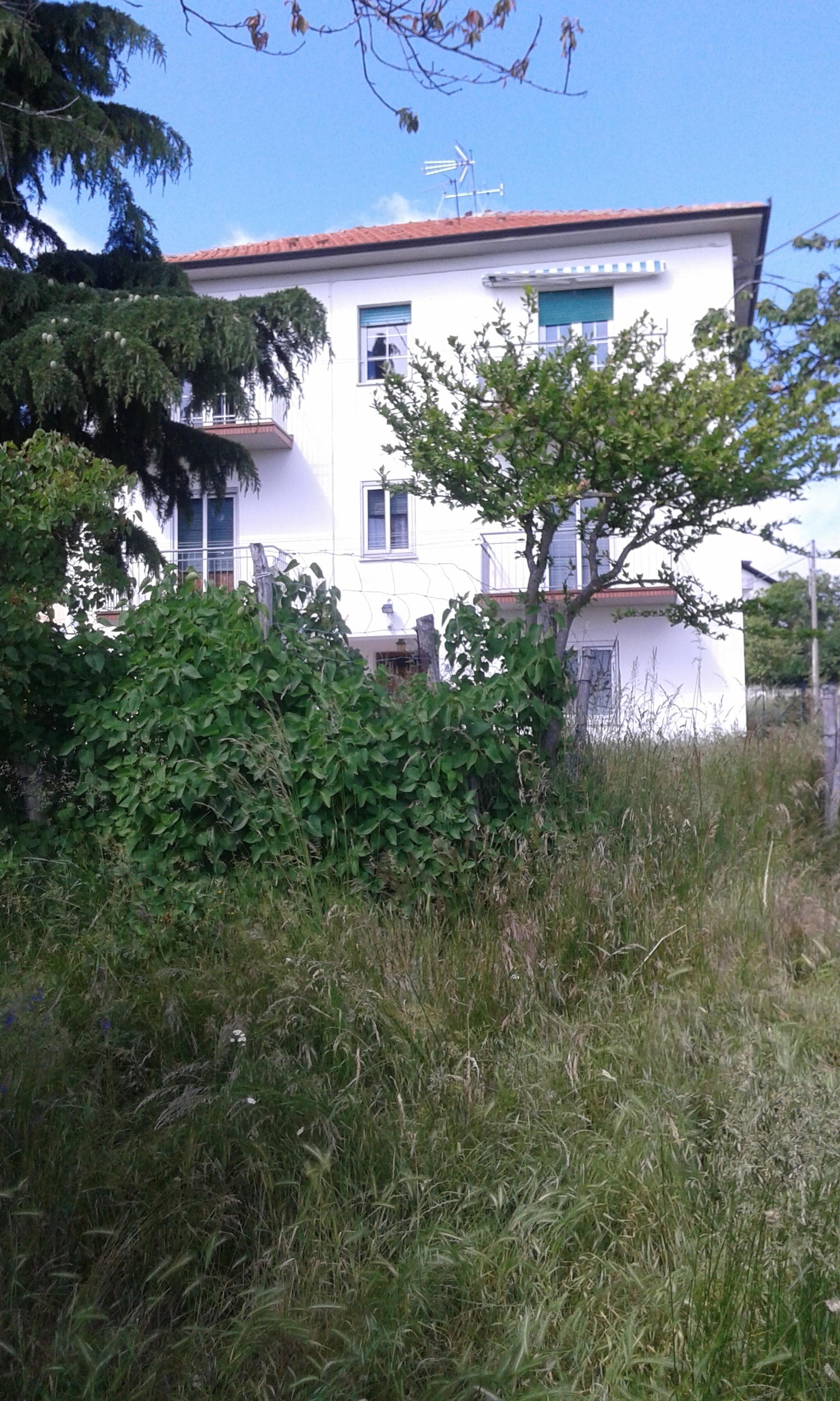 Foto annuncio 12