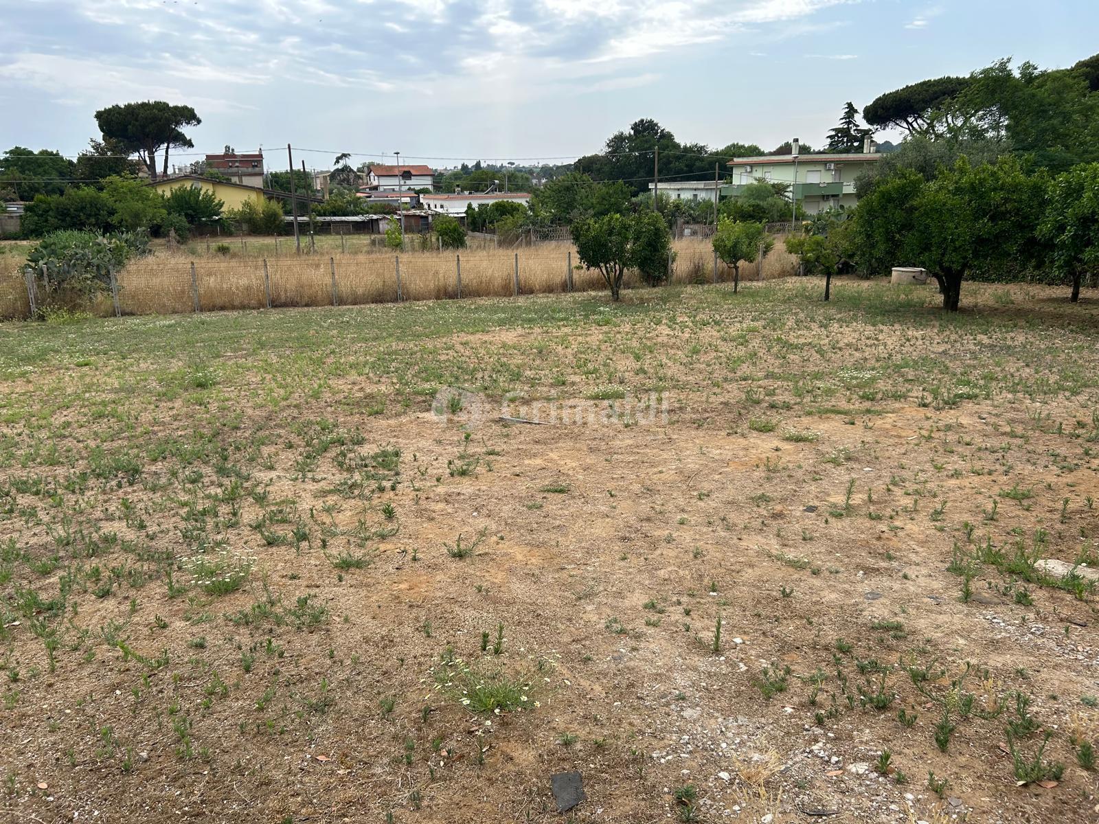 Immagine 3 di Terreno edificabile in vendita  in Via Sutri 4 a Nettuno