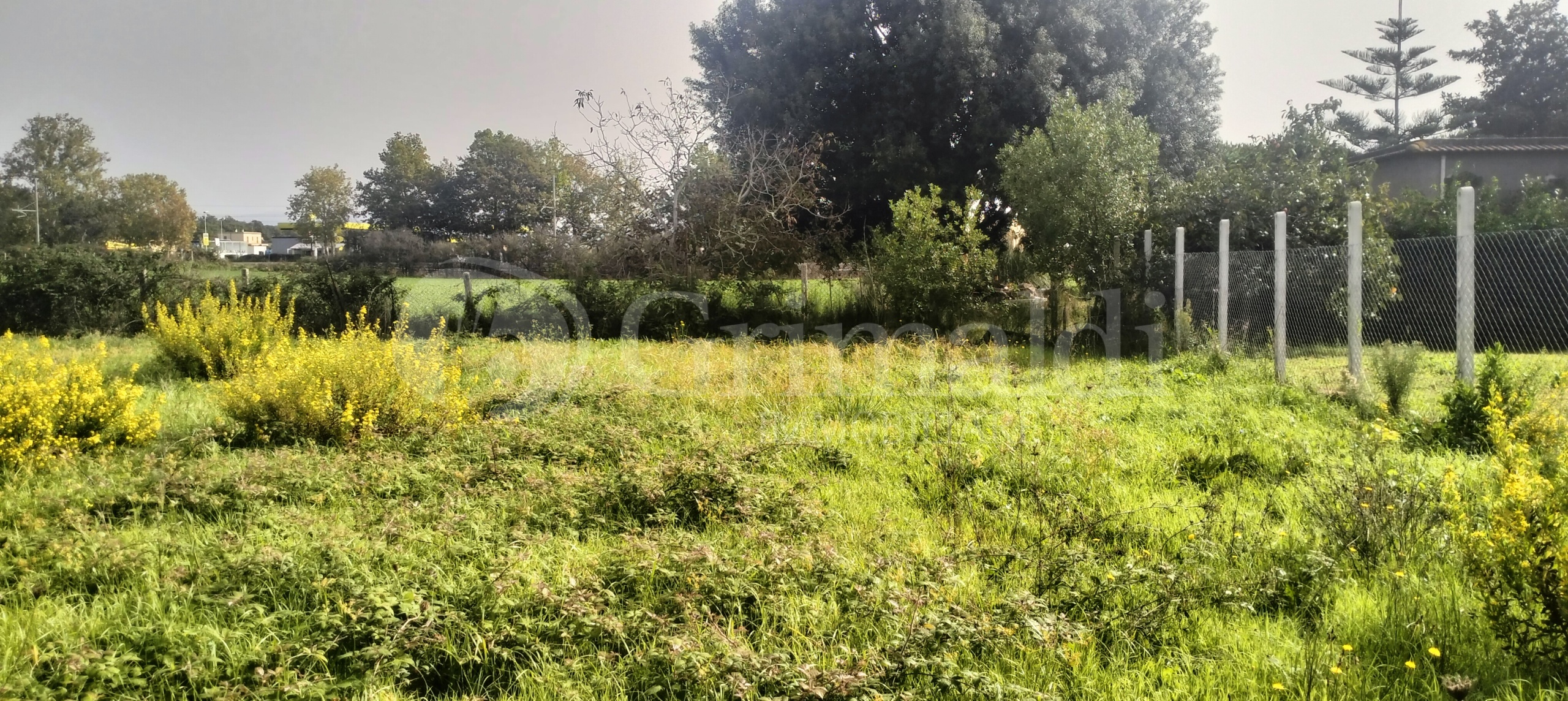 Immagine 5 di Terreno agricolo in vendita  in Via Lago di Sirino a Nettuno