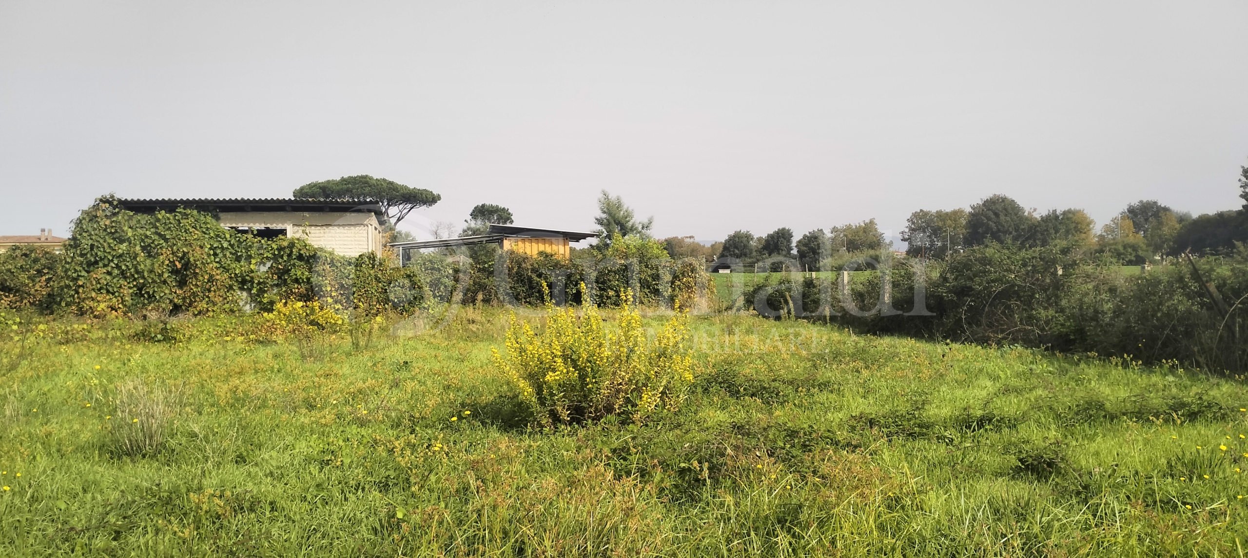 Immagine 7 di Terreno agricolo in vendita  in Via Lago di Sirino a Nettuno