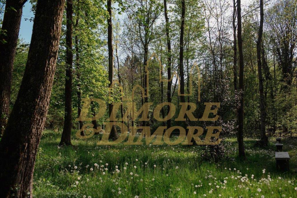 Immagine 4 di Bilocale in vendita  in Piazza Milano 8A a Colazza