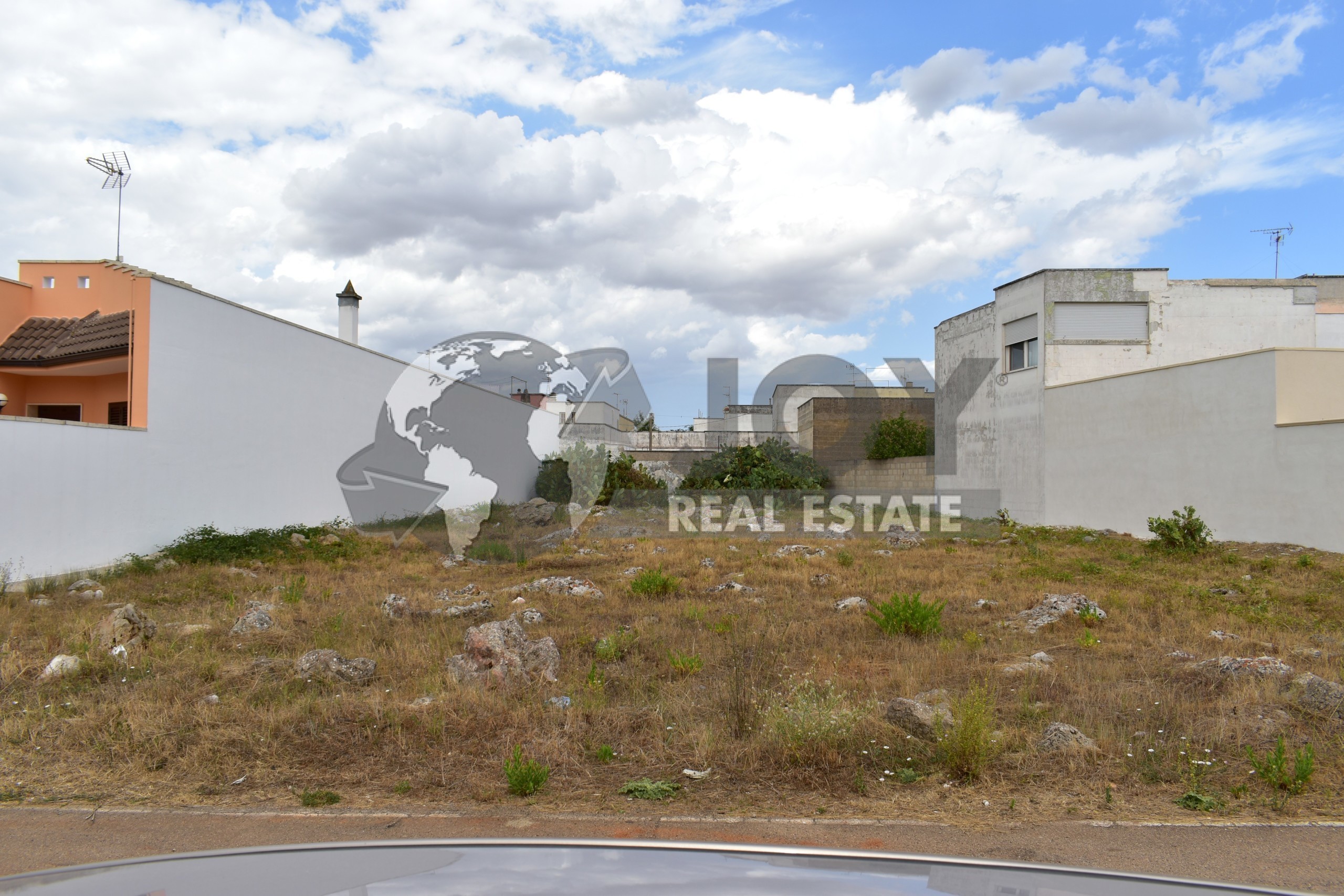 Immagine 3 di Terreno agricolo in vendita  in via morandi a San Donato Di Lecce