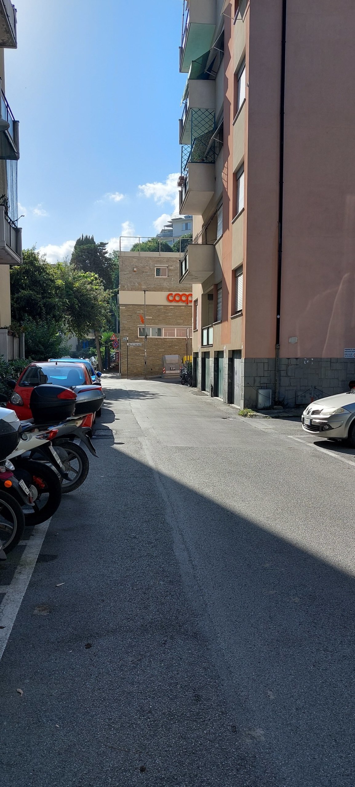 Foto annuncio 36