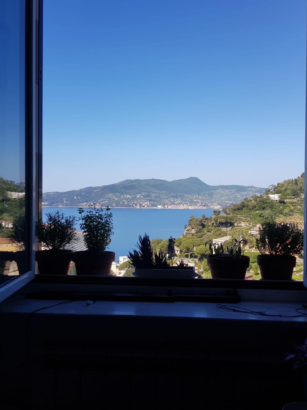 Immagine 4 di Trilocale in vendita  a Zoagli