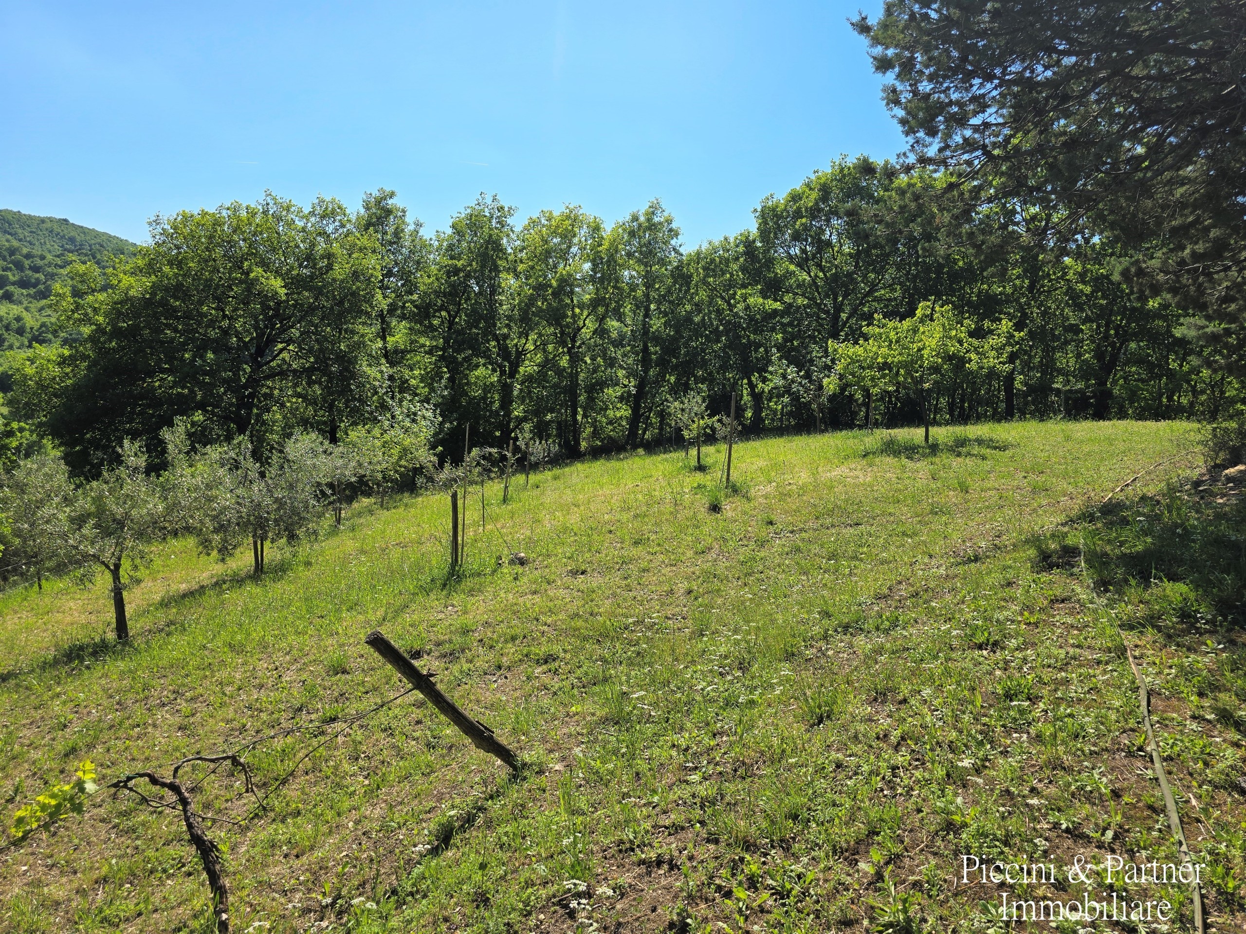 Immagine 80 di Rustico / casale in vendita  in Migianella a Umbertide