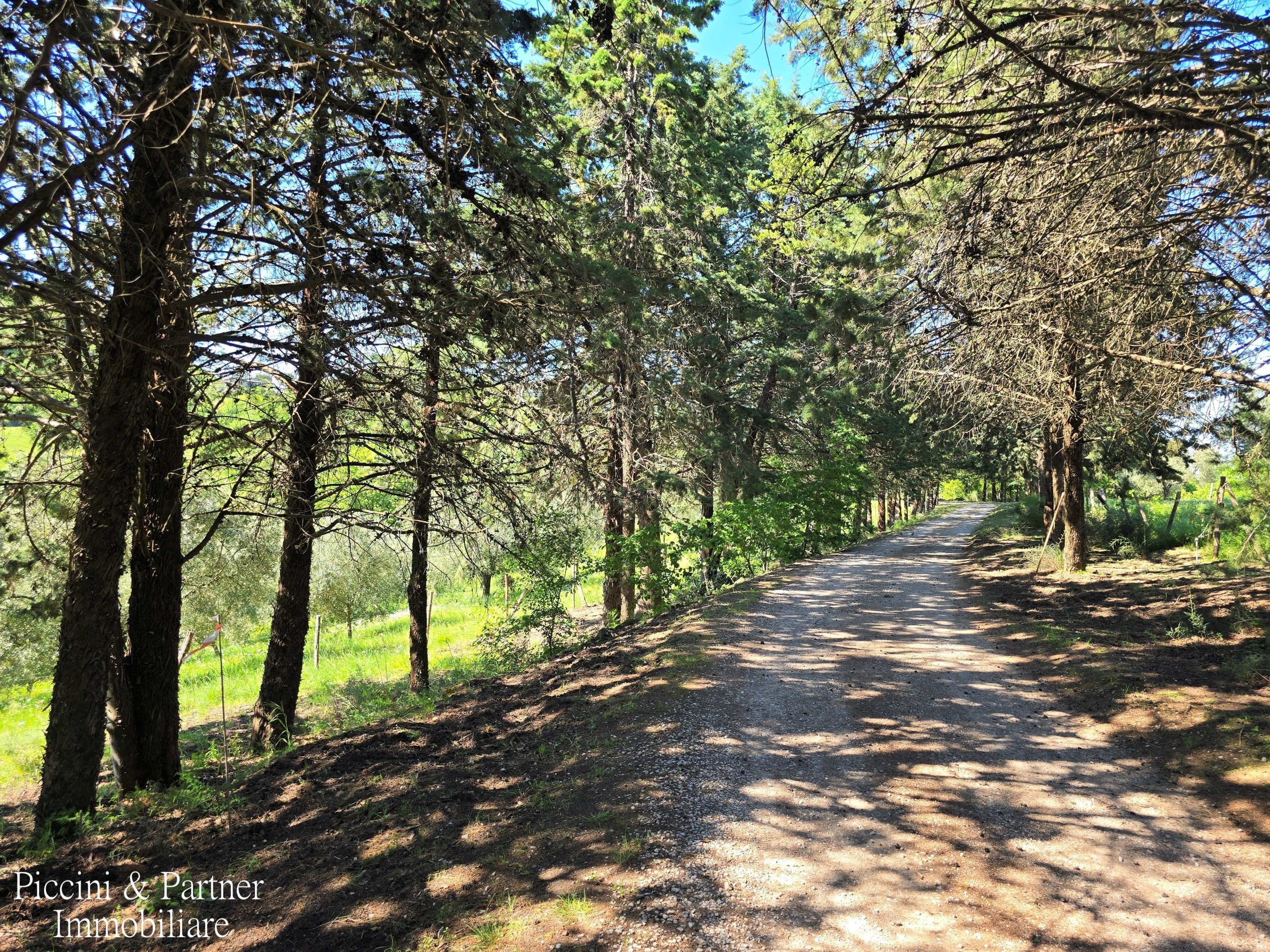 Immagine 82 di Rustico / casale in vendita  in Migianella a Umbertide
