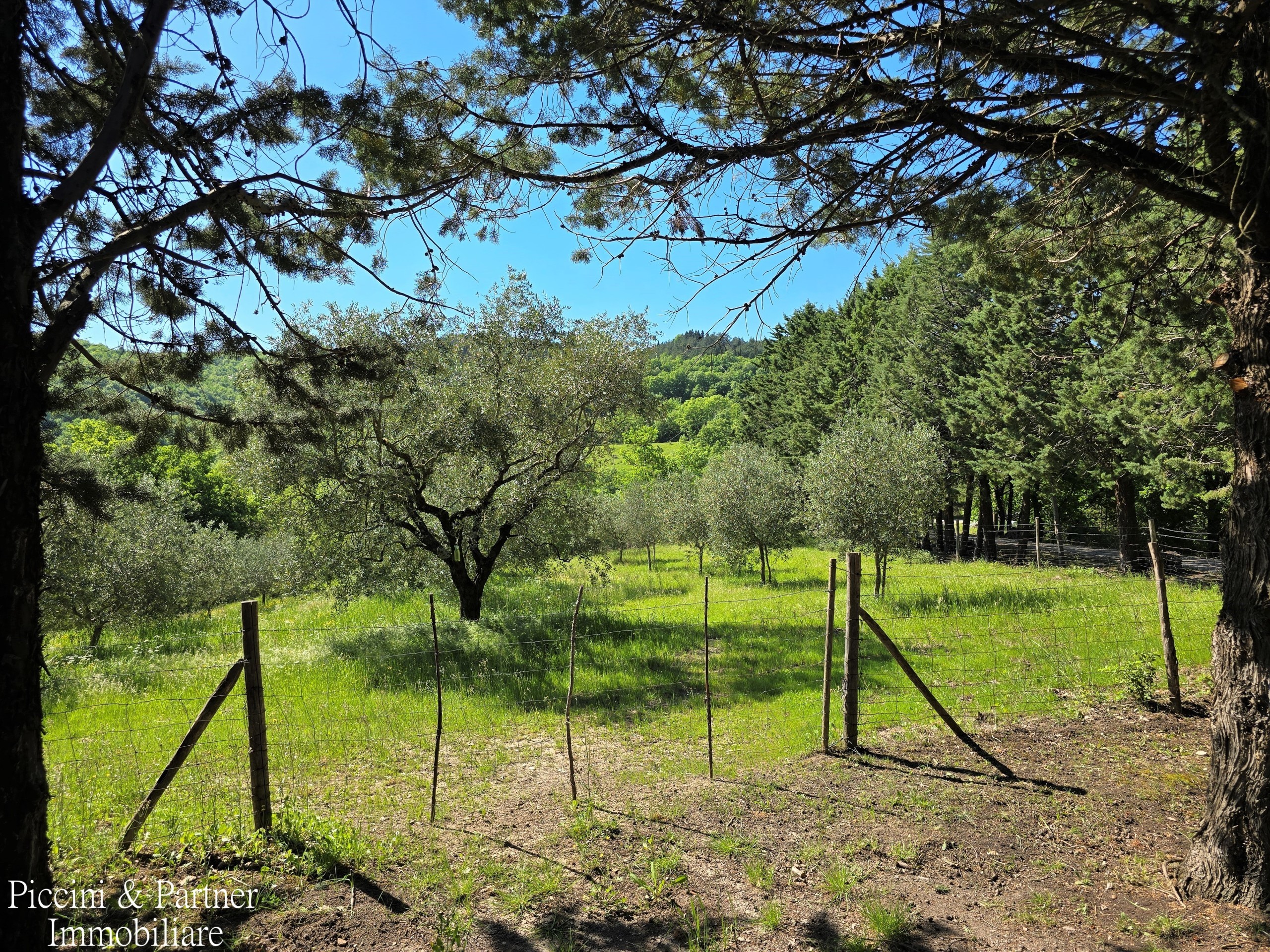Immagine 81 di Rustico / casale in vendita  in Migianella a Umbertide