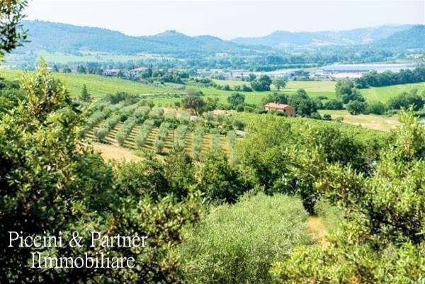 Immagine 7 di Albergo/B&B/Residence in vendita  a Magione