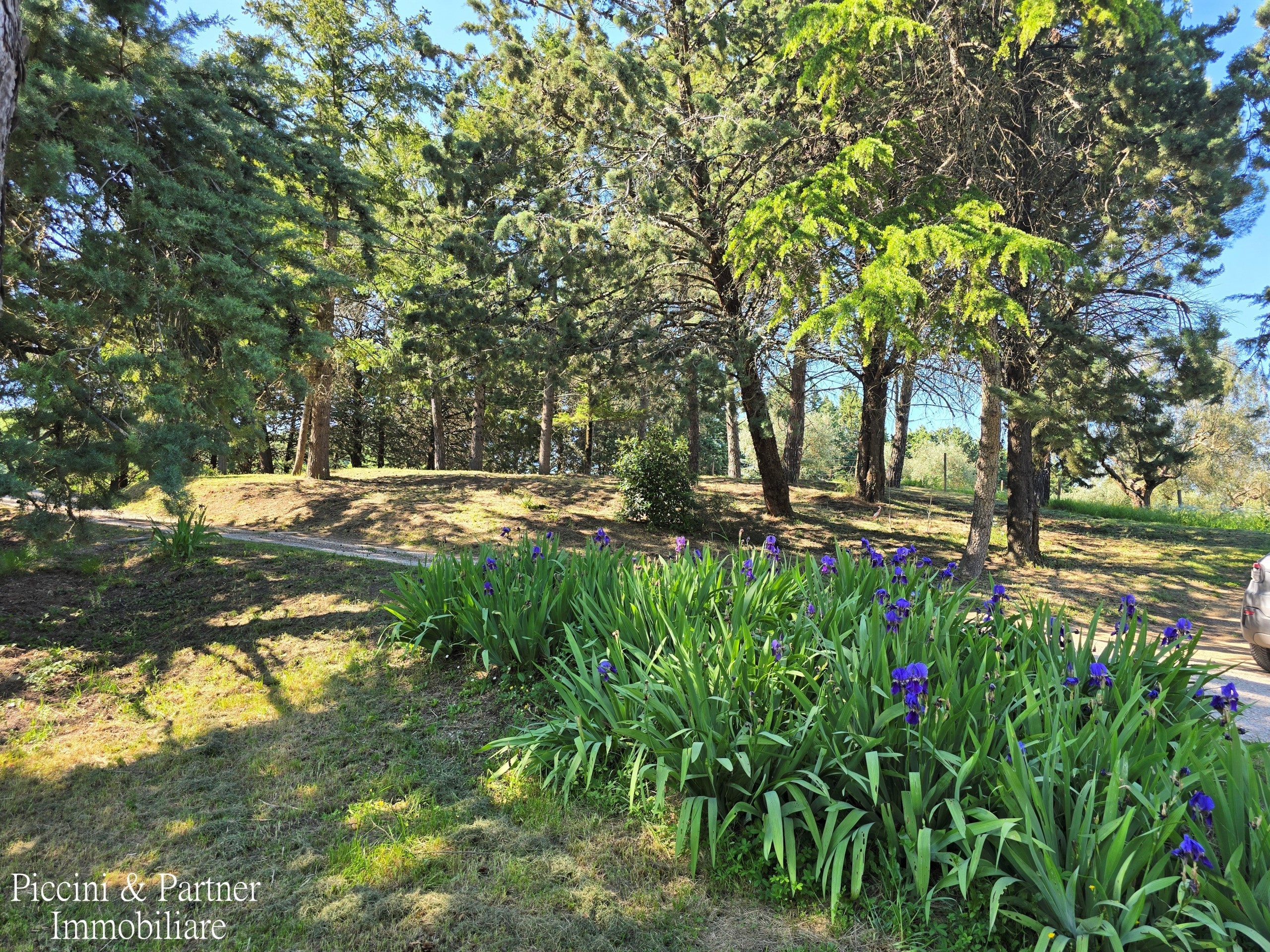 Immagine 79 di Rustico / casale in vendita  in Migianella a Umbertide