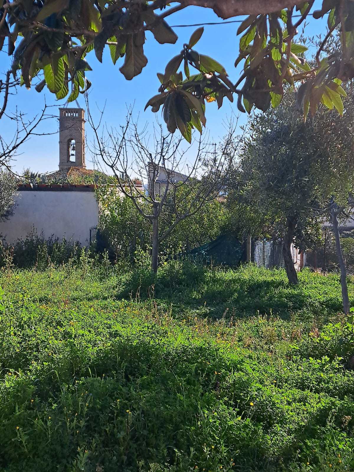 Foto annuncio 31