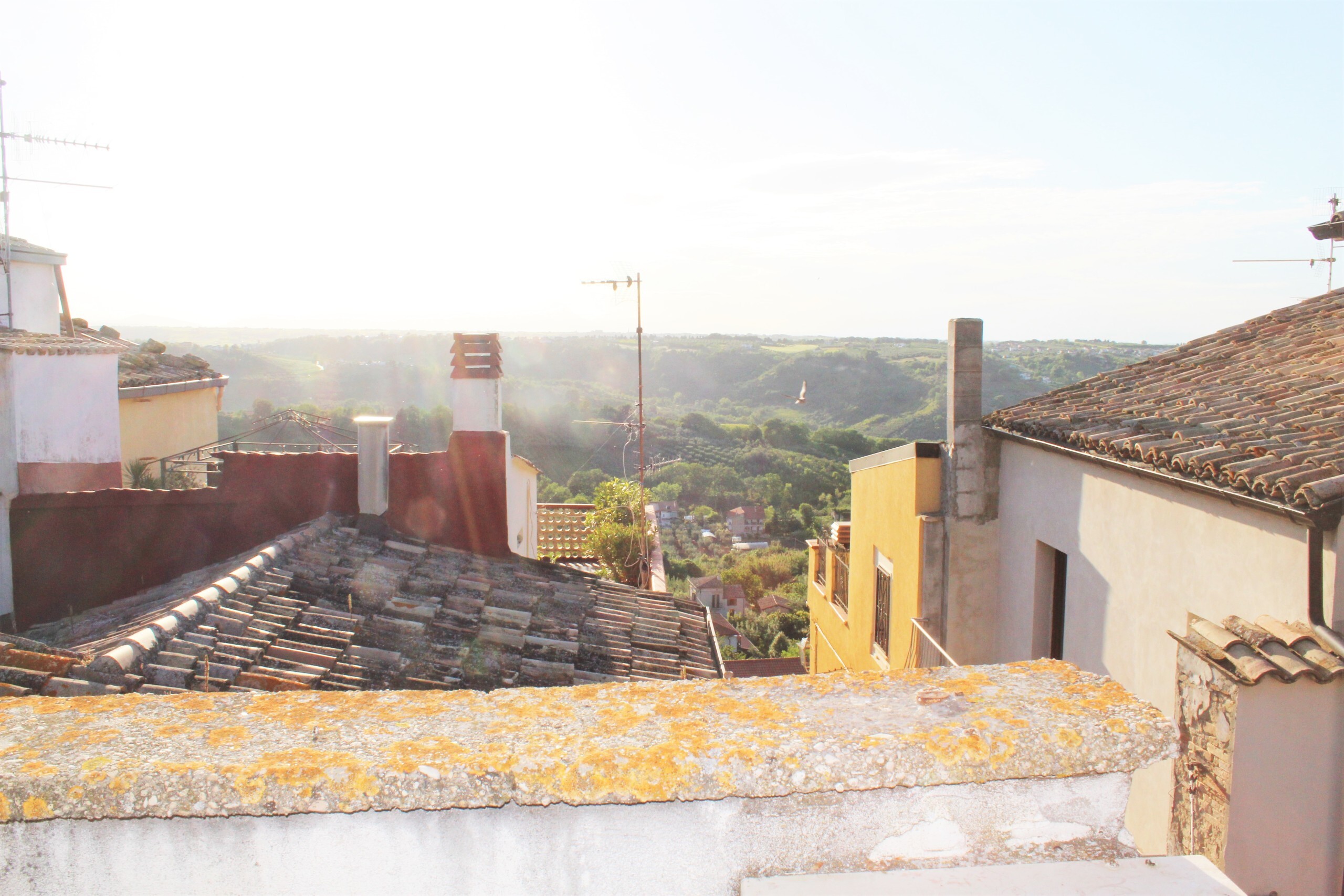 Foto annuncio 16
