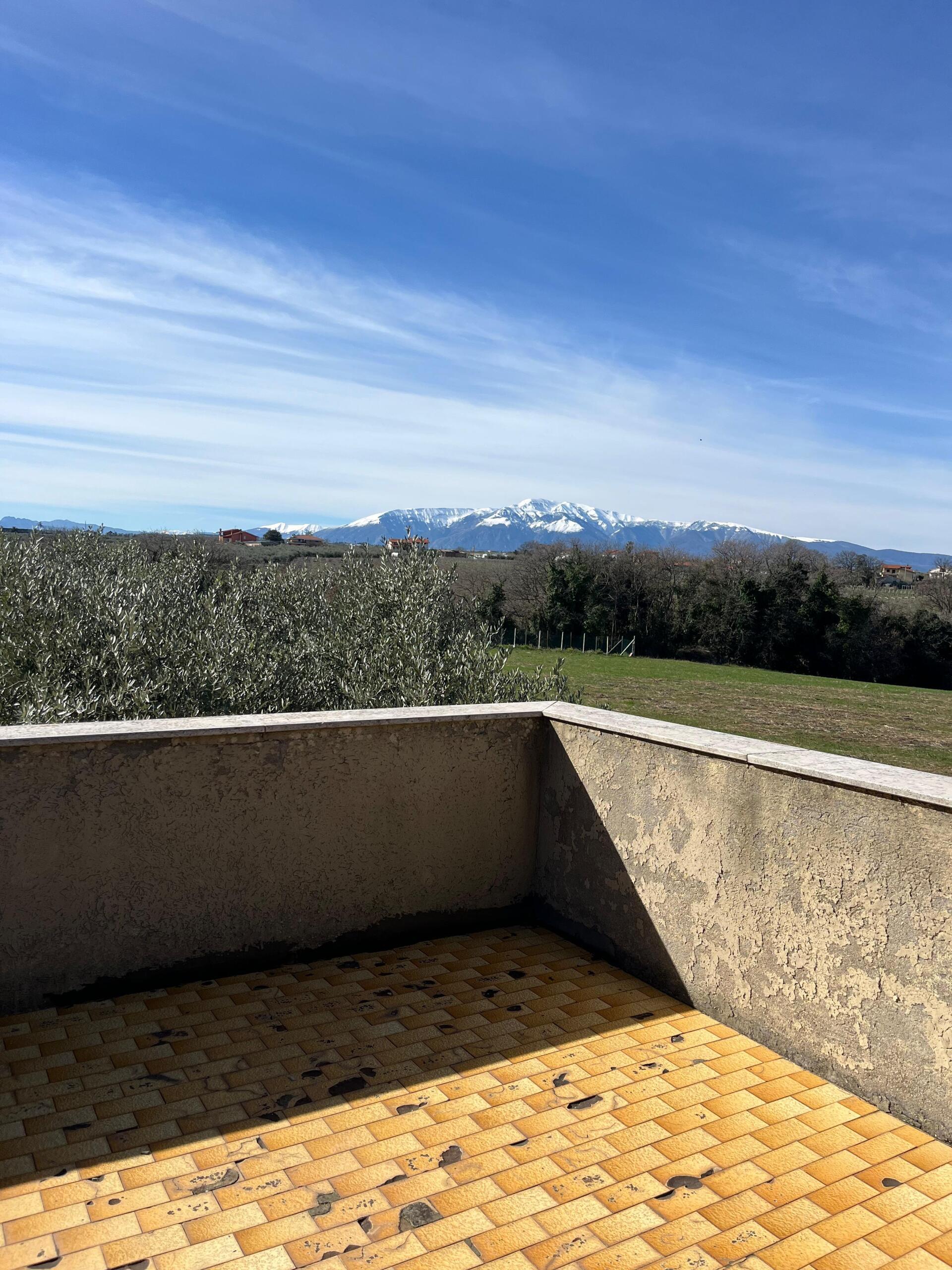 Foto annuncio 30